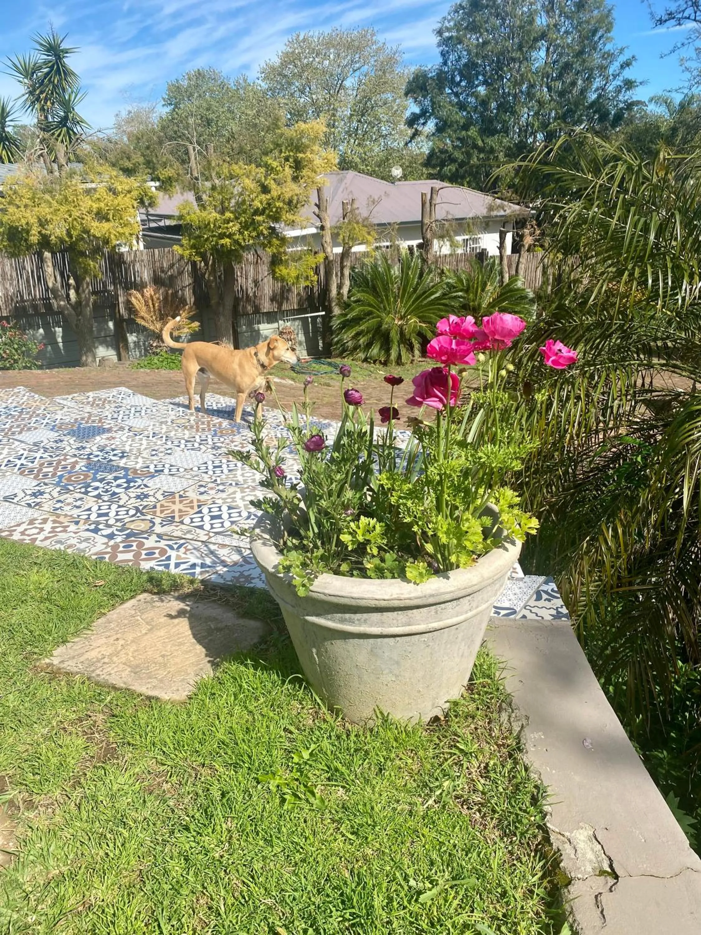 The View Swellendam B&B