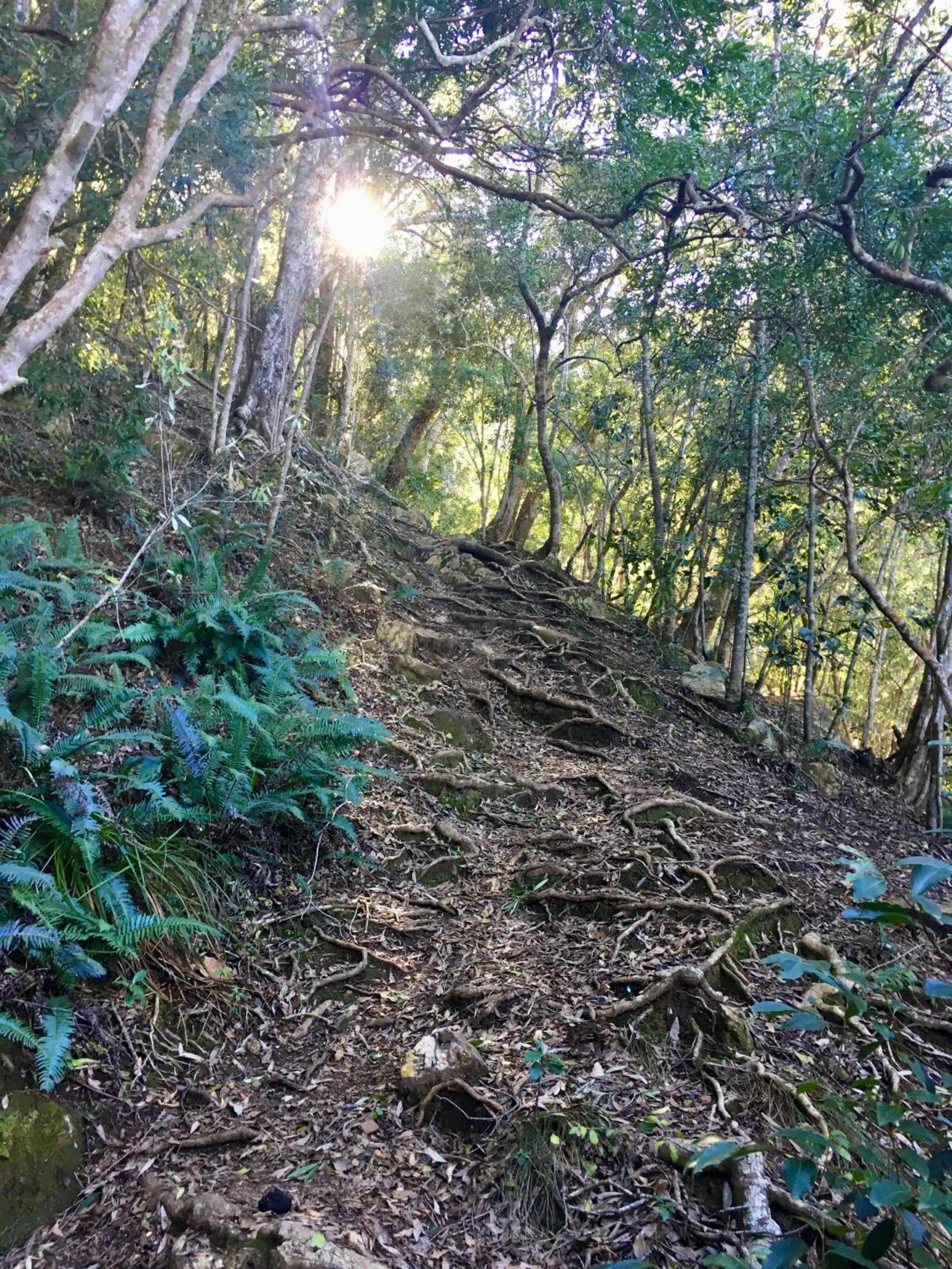 The View Swellendam B&B