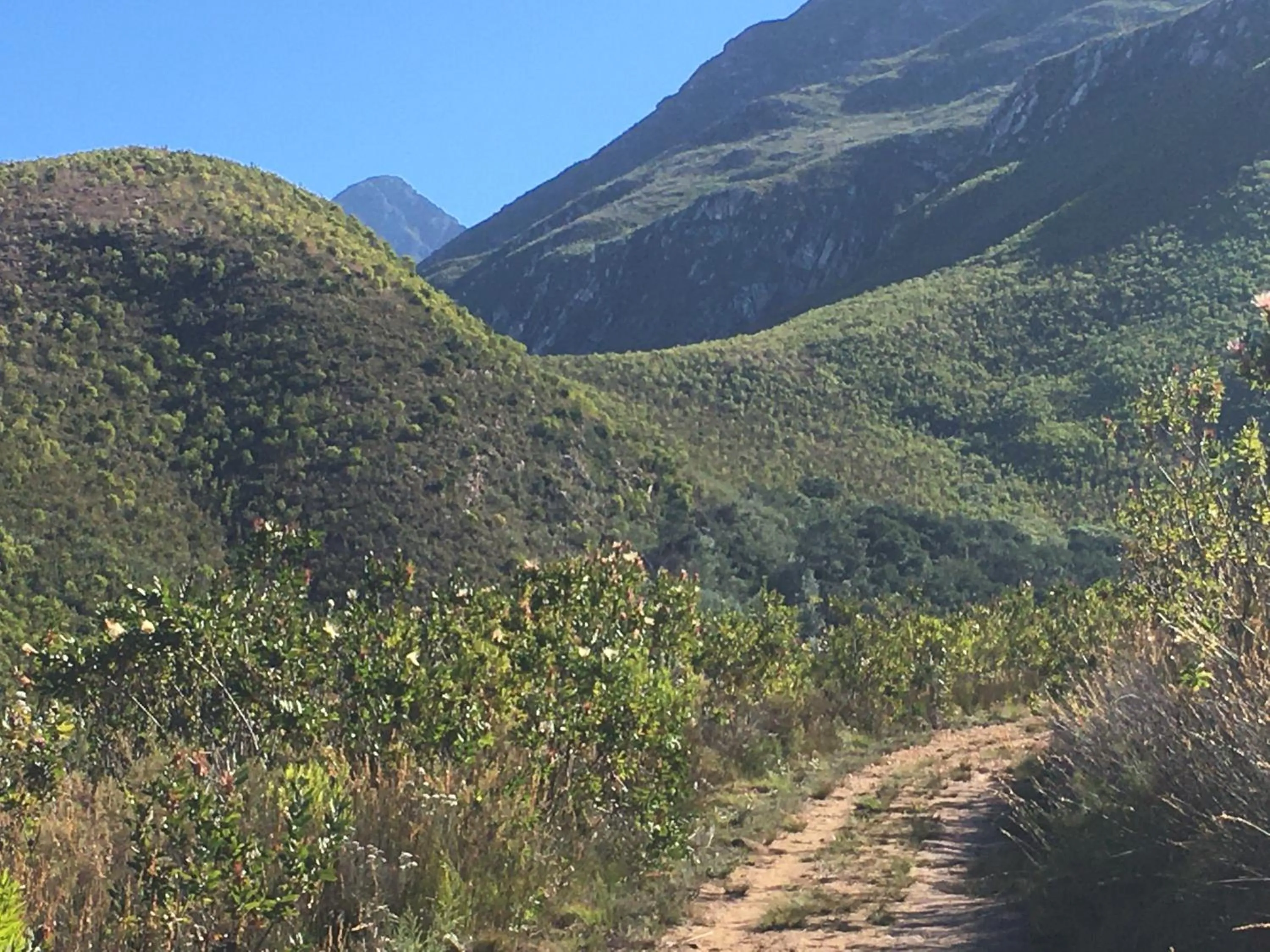 The View Swellendam B&B