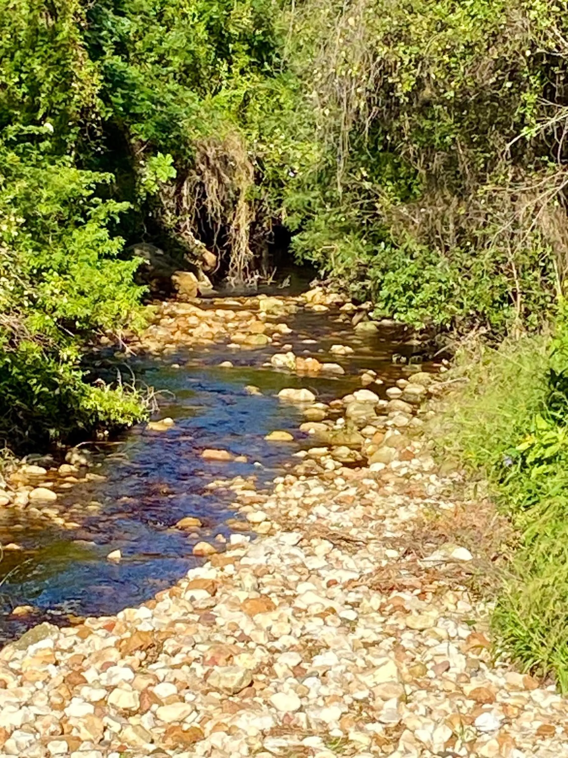 The View Swellendam B&B