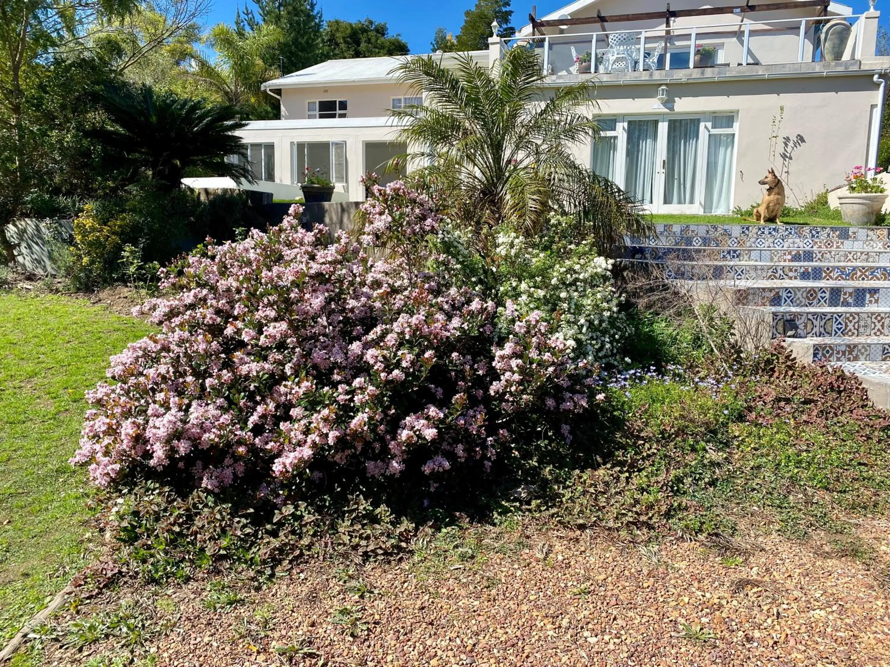The View Swellendam B&B