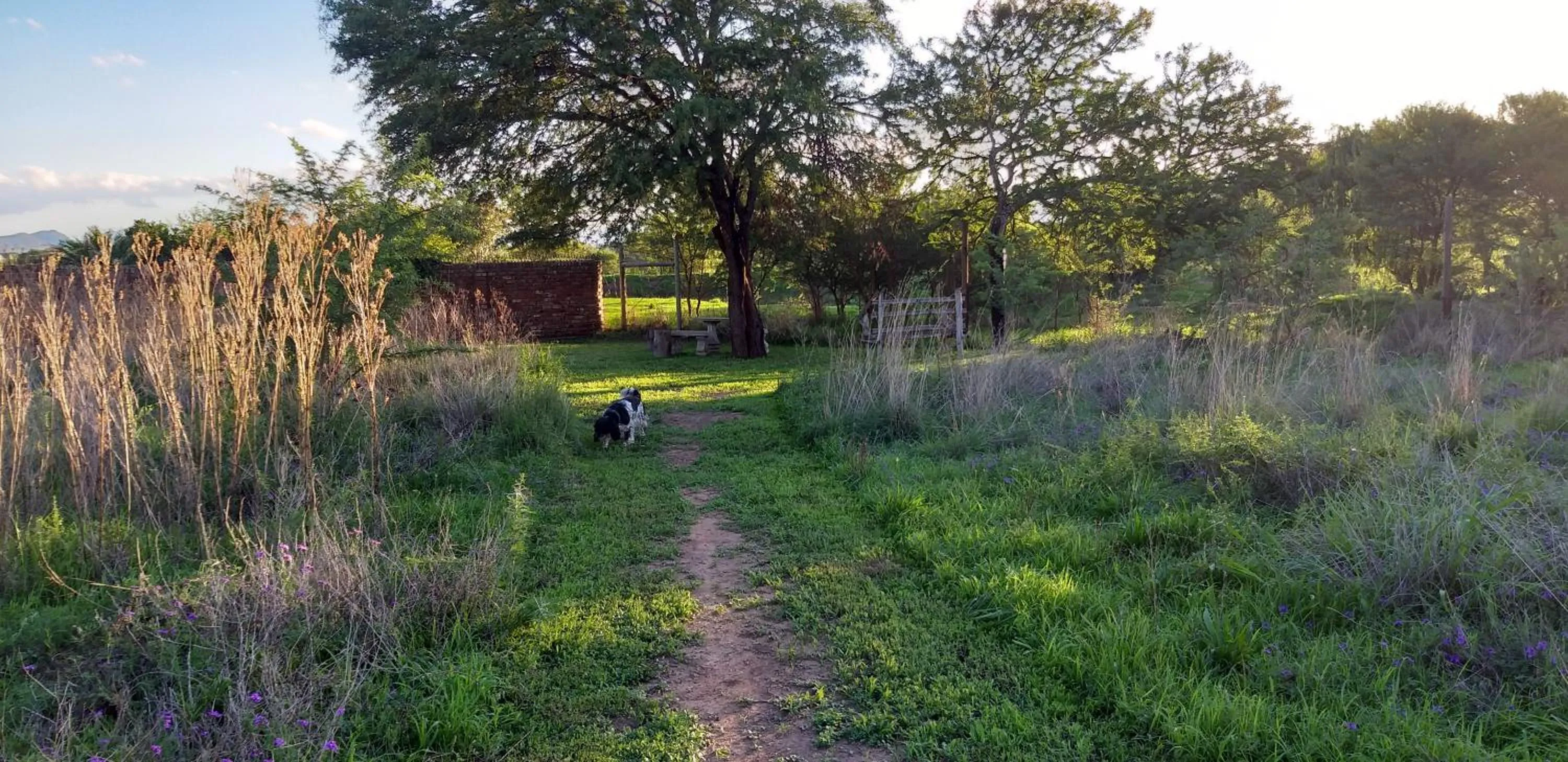 a Dam's View Accommodation