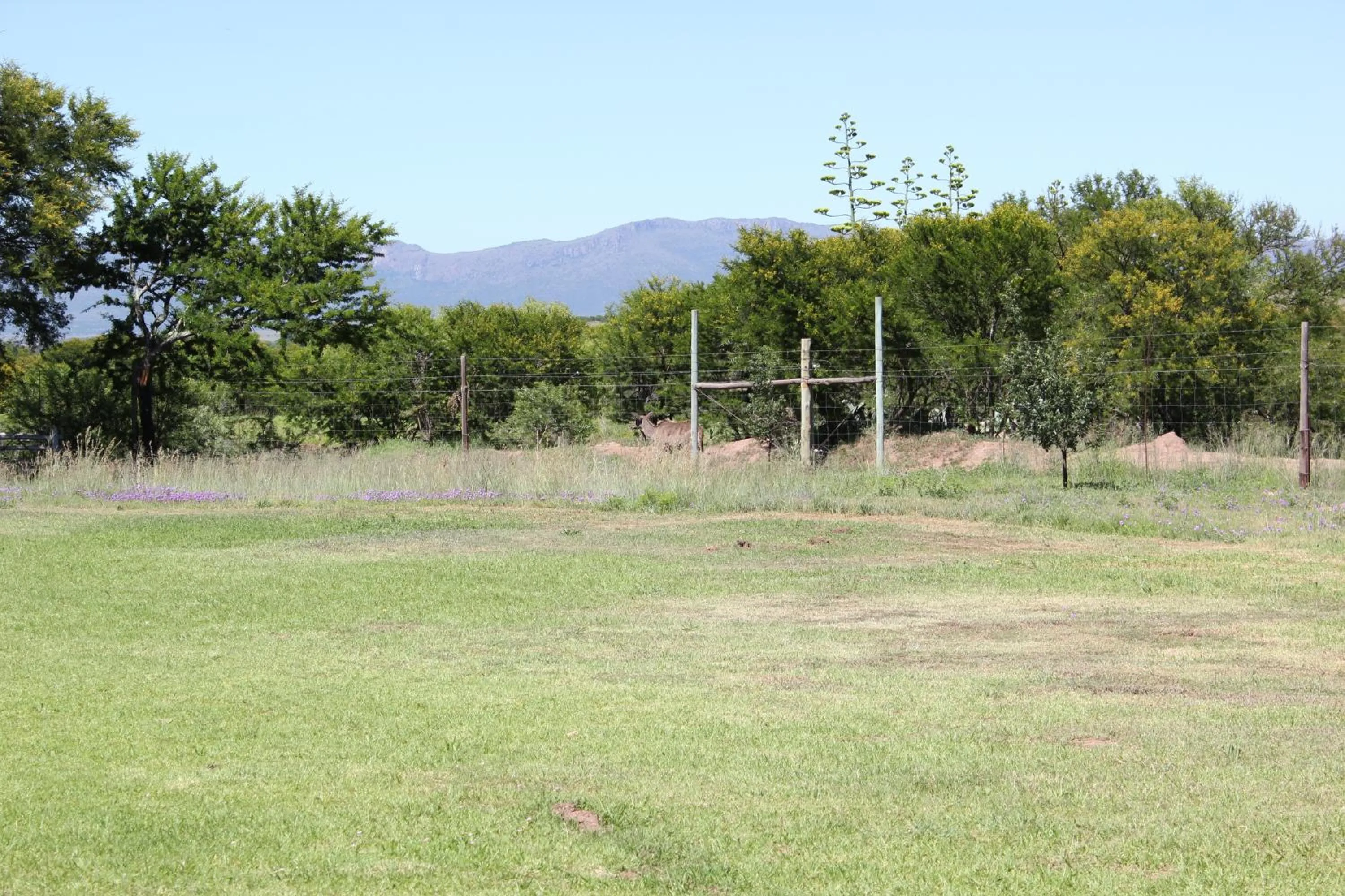 a Dam's View Accommodation