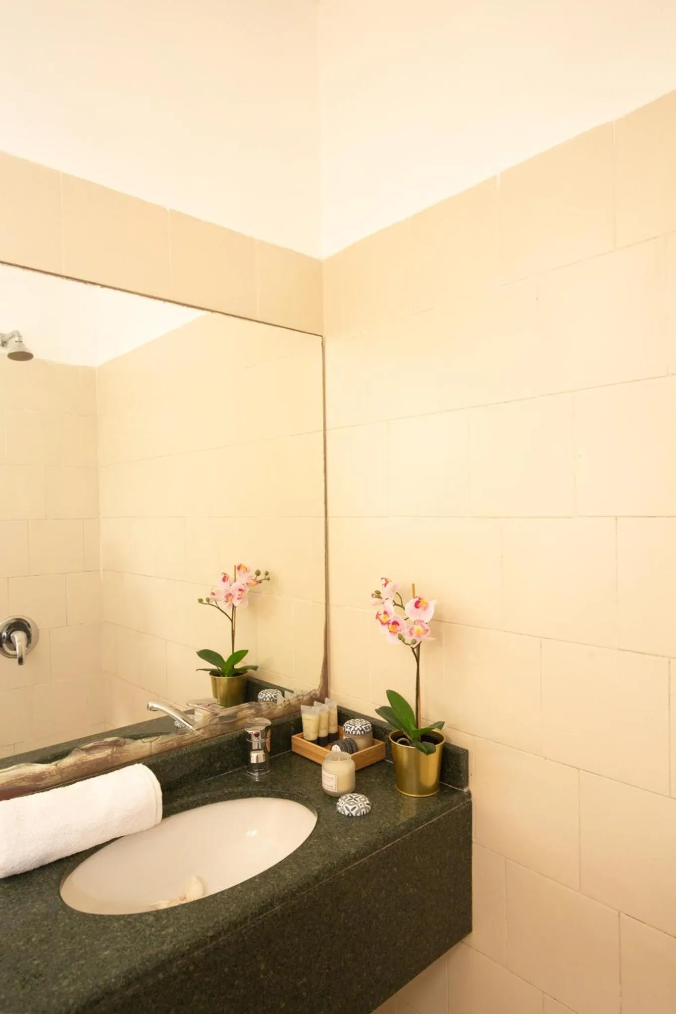 Bathroom in Motel Aviv