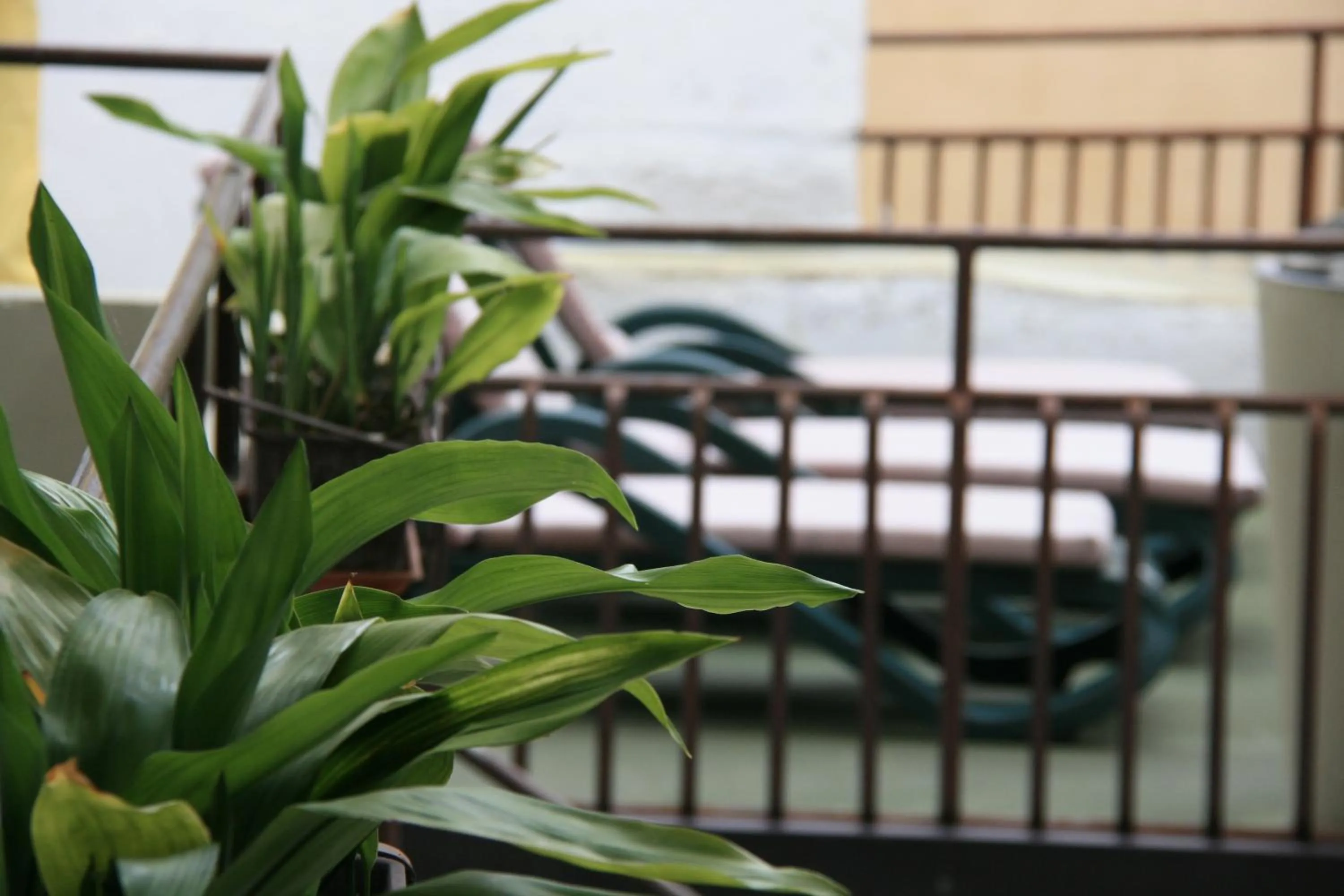 Balcony/Terrace, Bed in Hotel Modena old town