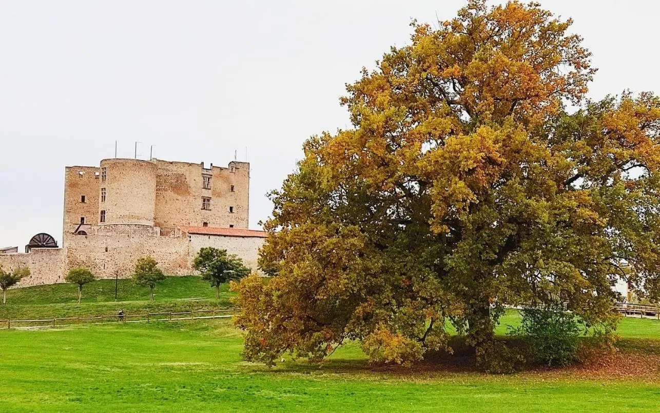 Nearby landmark in HOTEL RESTAURANT CIRIUS