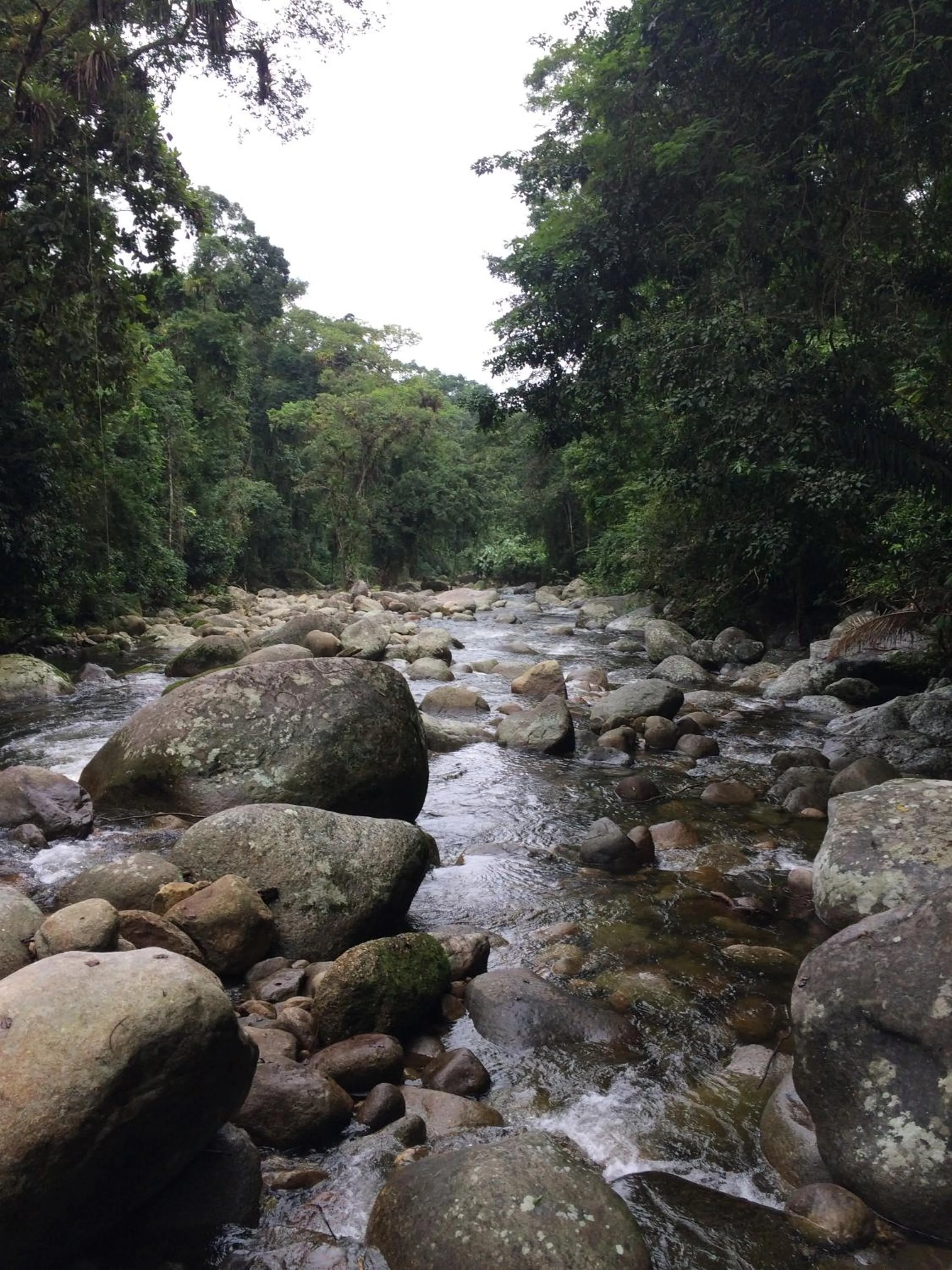 Eco Chalés Caminho das Águas