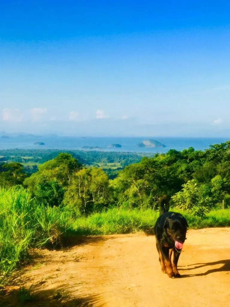 Eco Chalés Caminho das Águas