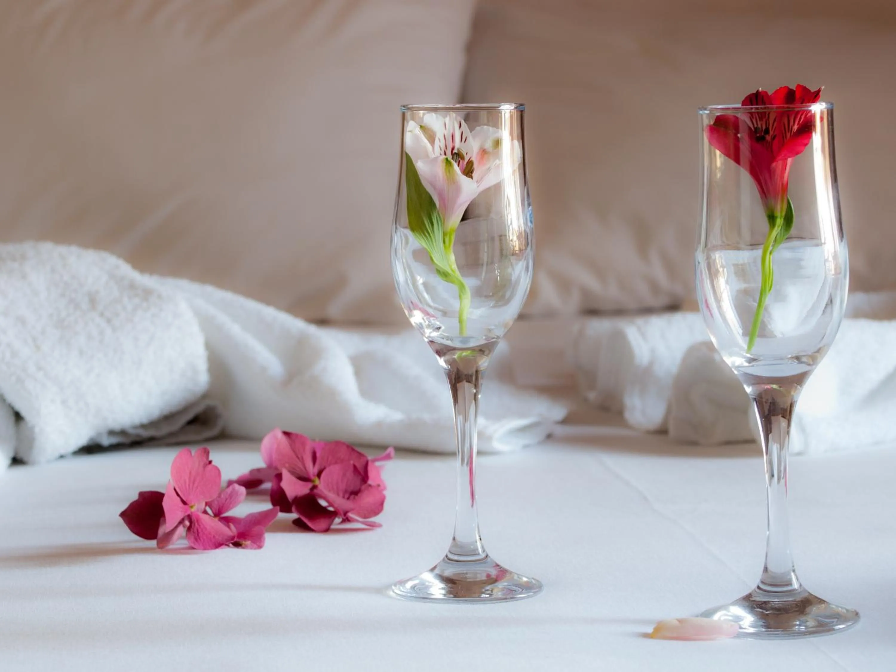 Drinks, Bed in Astromeria