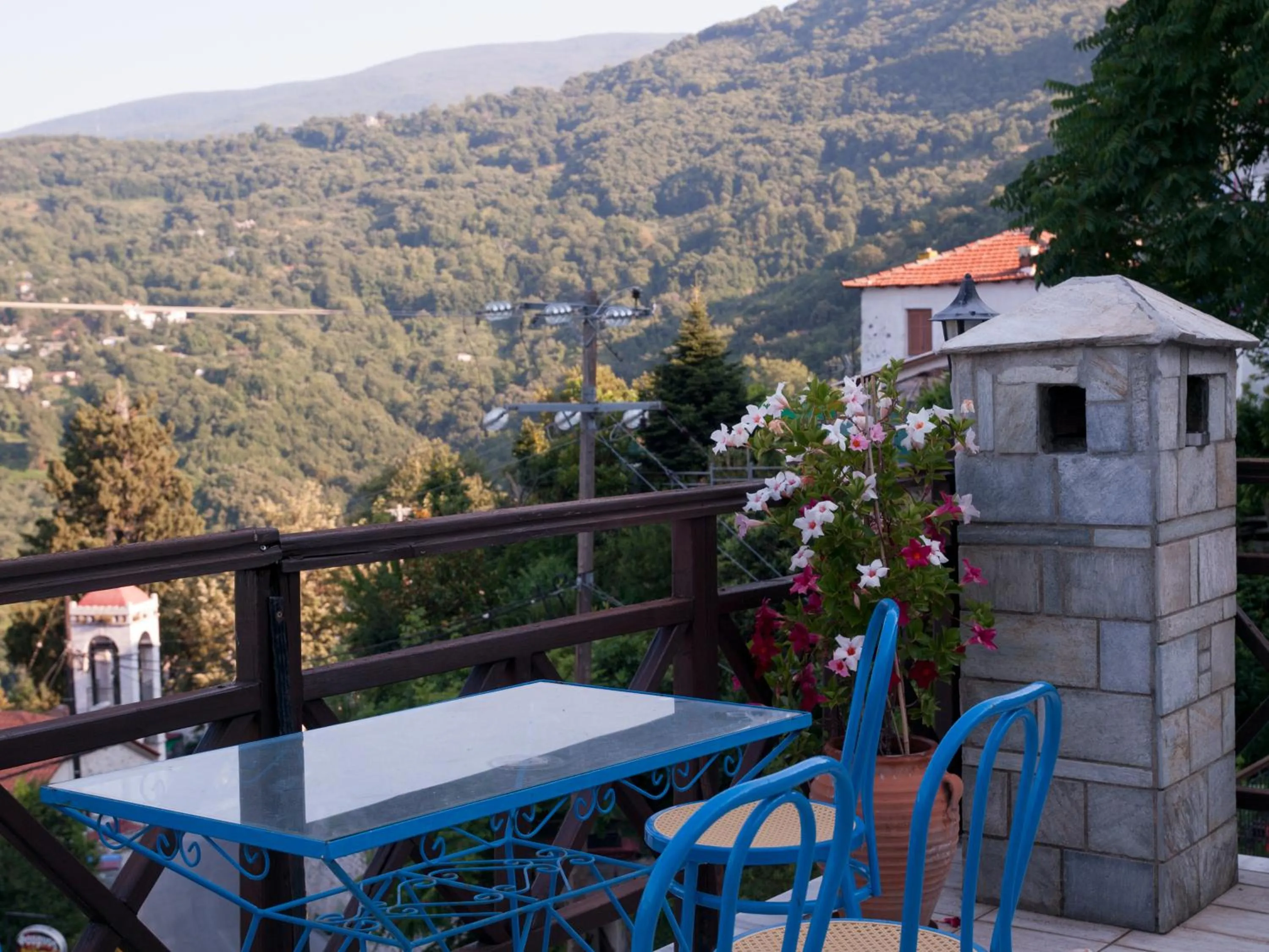 Mountain view in Astromeria