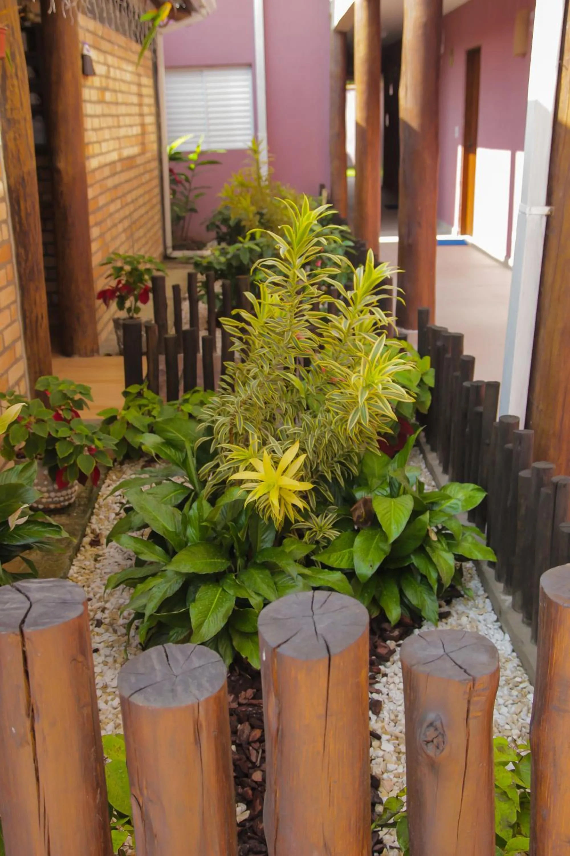 Garden in Pousada Parapuã