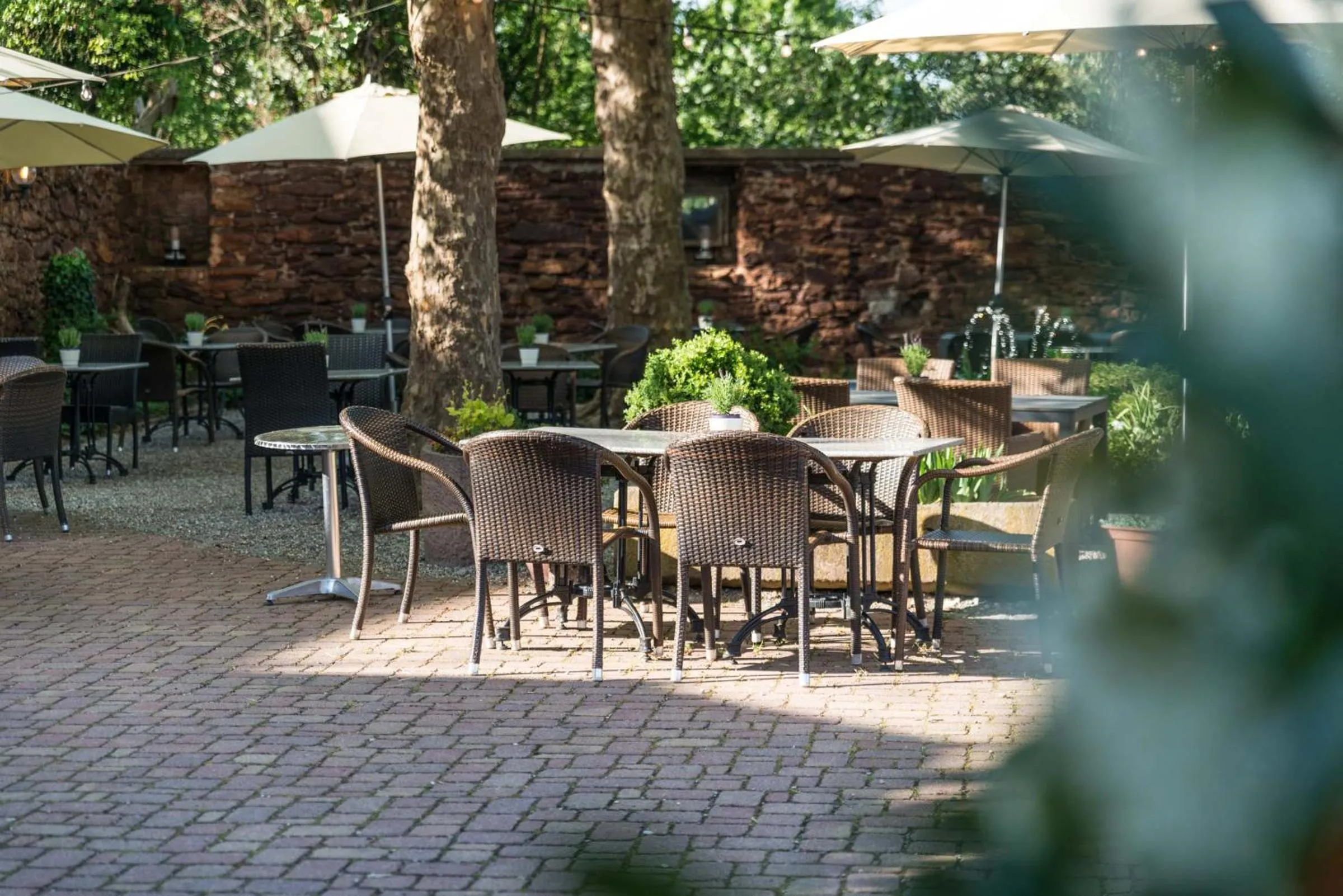 Restaurant/places to eat in Jauch's Löwen Hotel-Restaurant