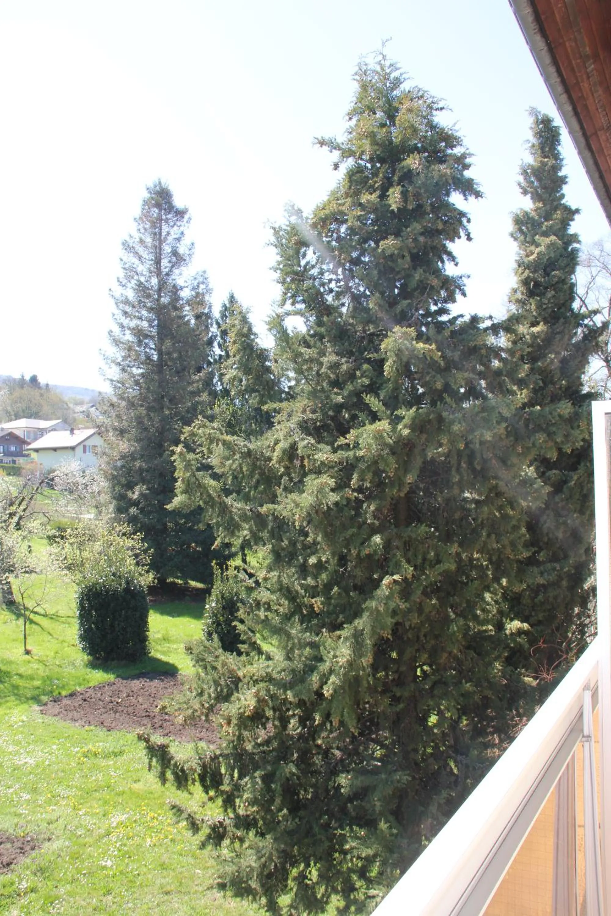 Hôtel Restaurant le Panorama