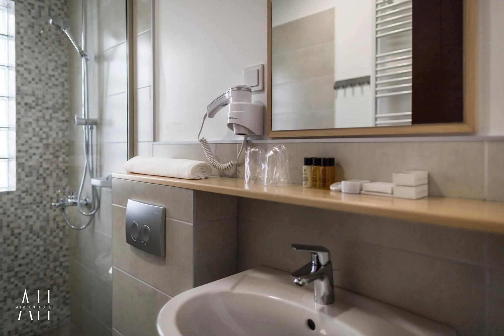 Toilet in GARNI HOTEL ATRIUM