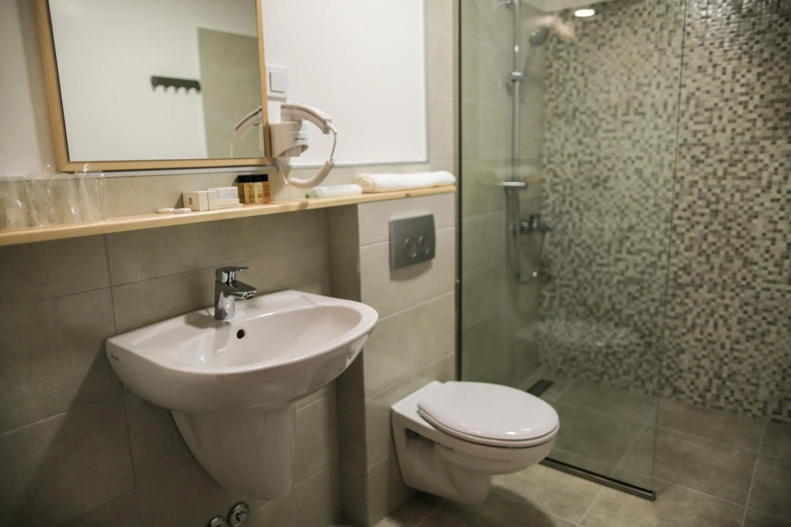 Shower in GARNI HOTEL ATRIUM