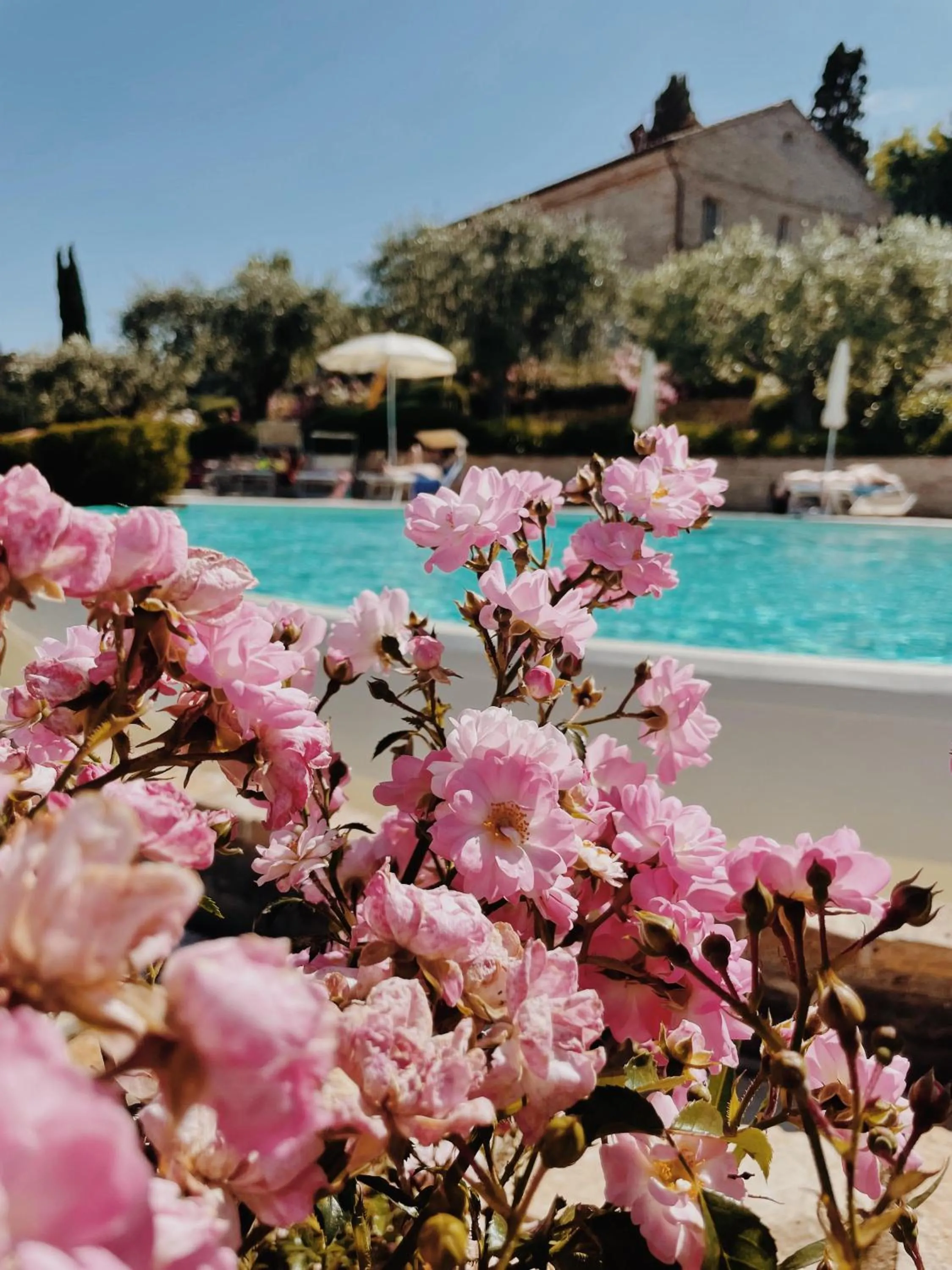 Spring in Pamperduto Country Resort