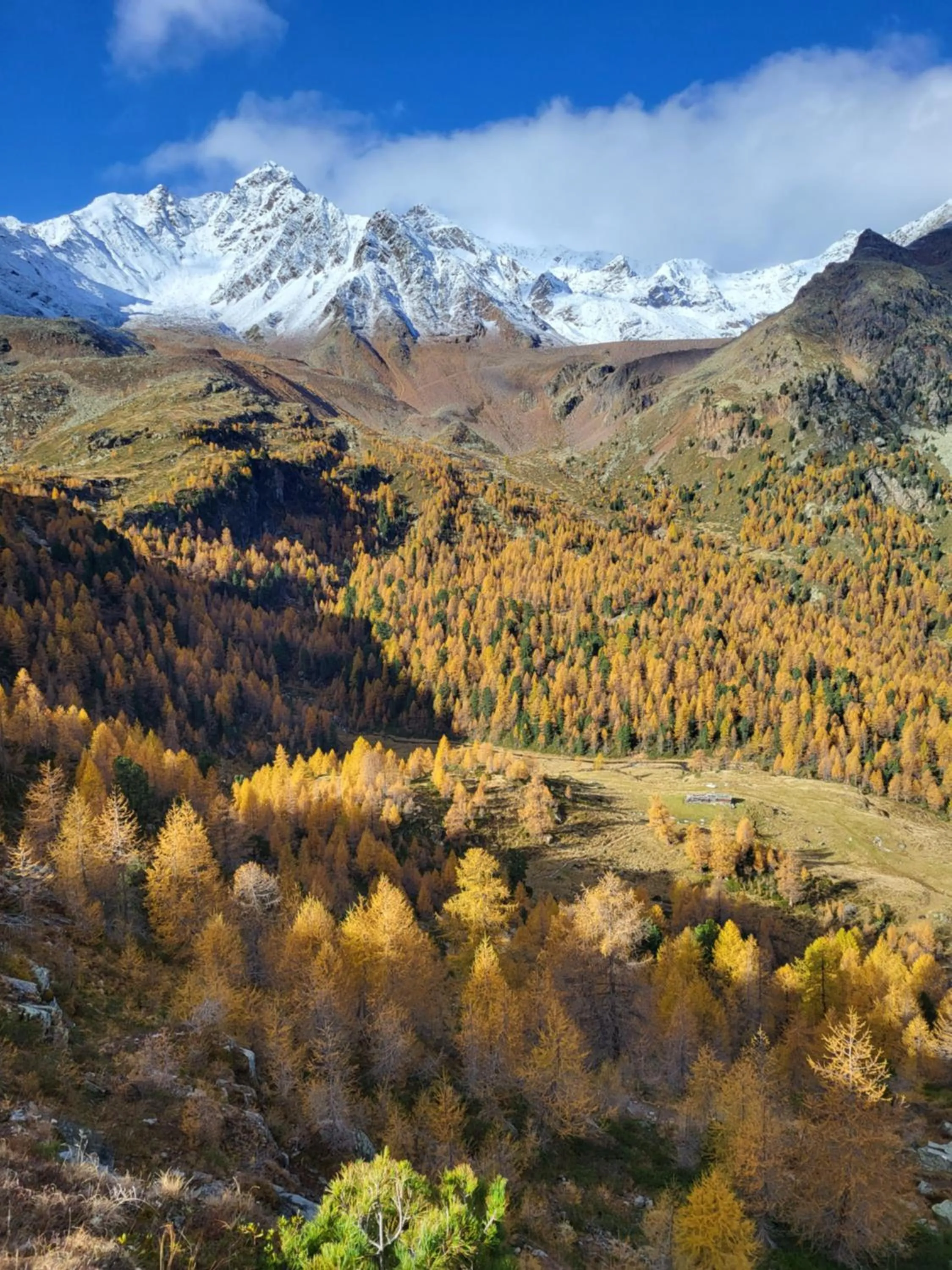 Hiking in Natur Pur Hotel Unterpichl