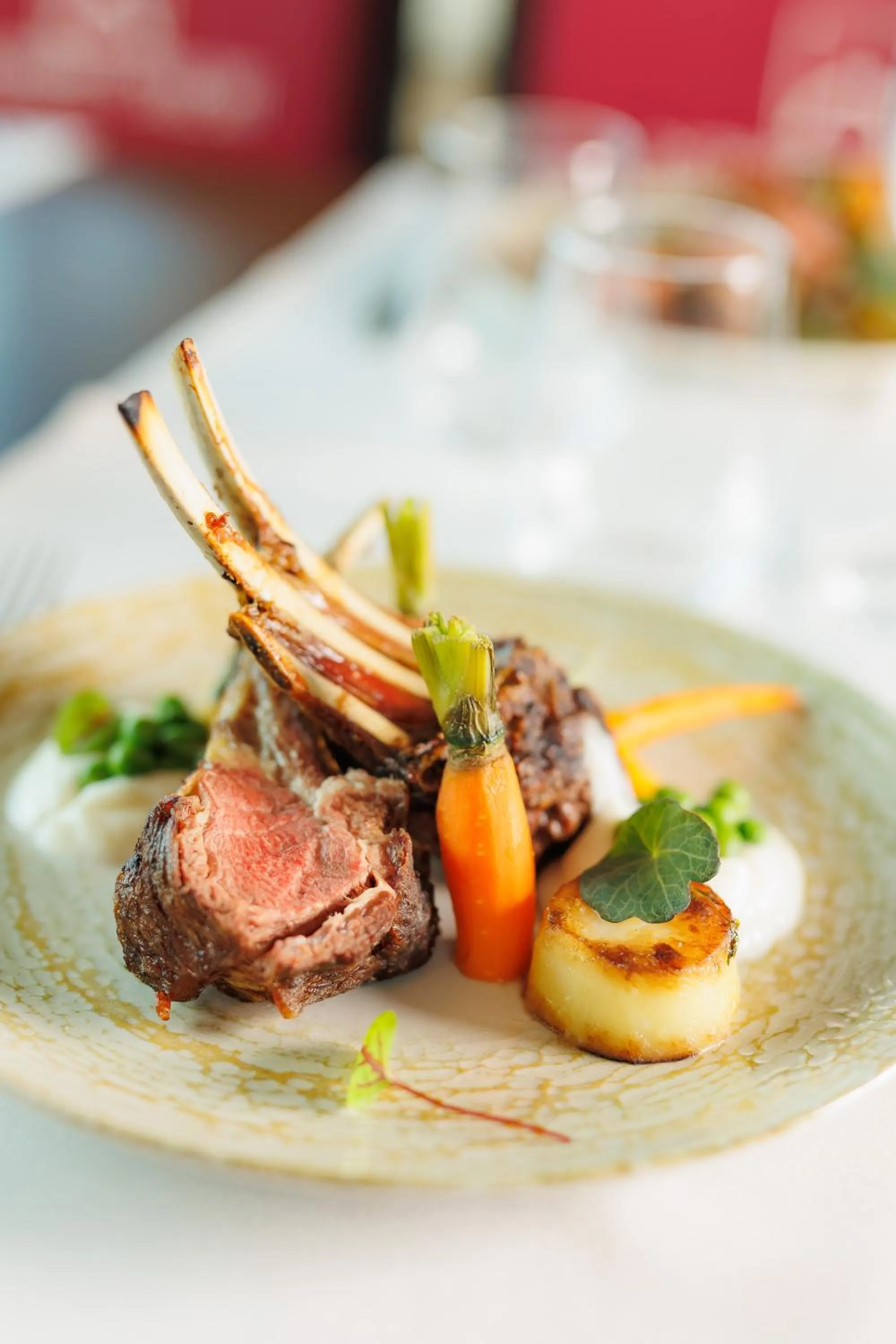 Restaurant/places to eat in Hotel Orizont