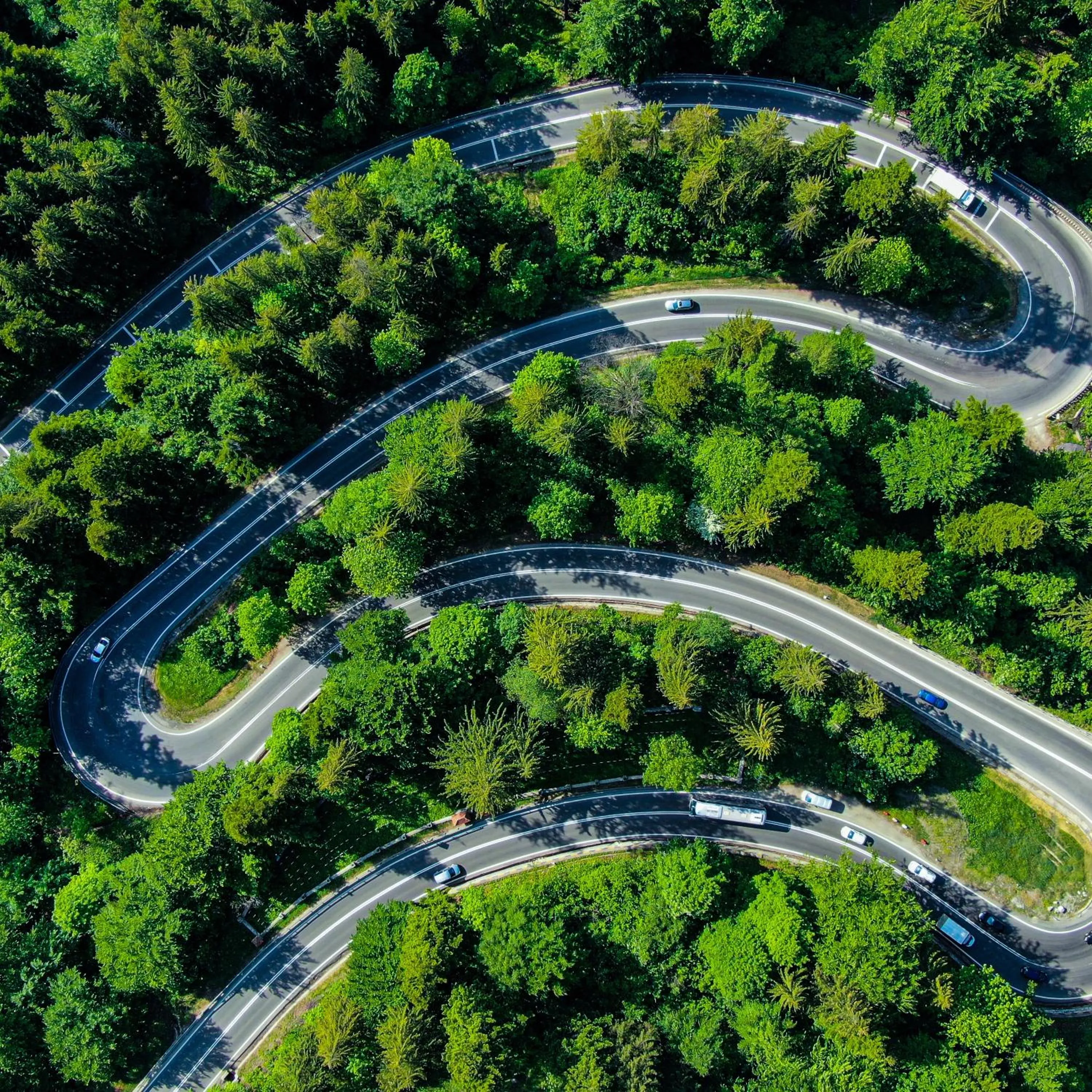Natural landscape in Hotel Orizont