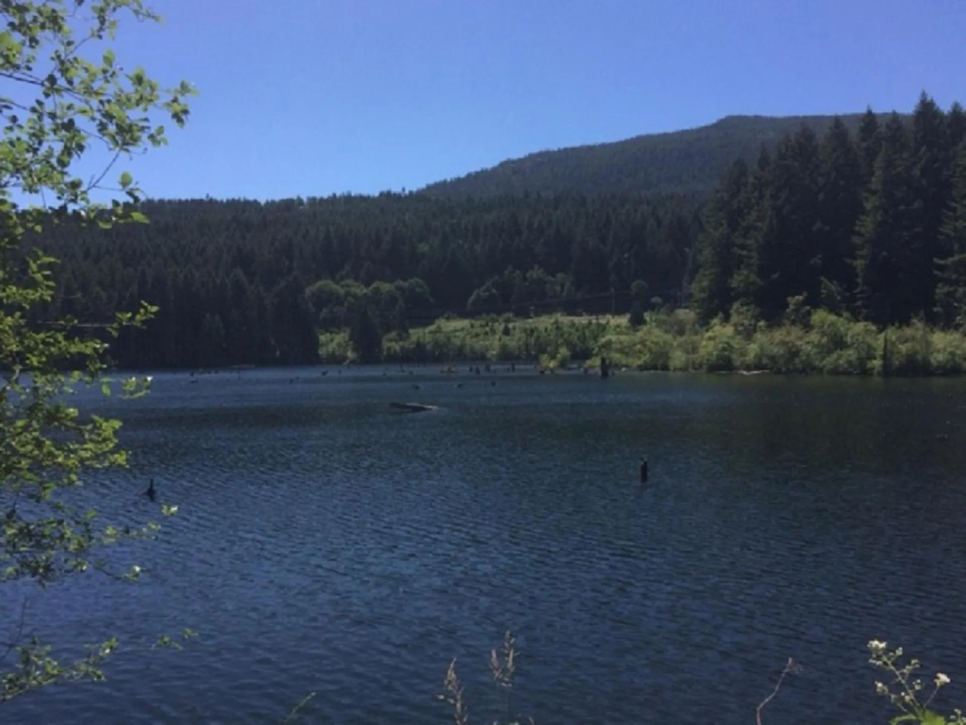 Natural landscape in Bethlehem Centre