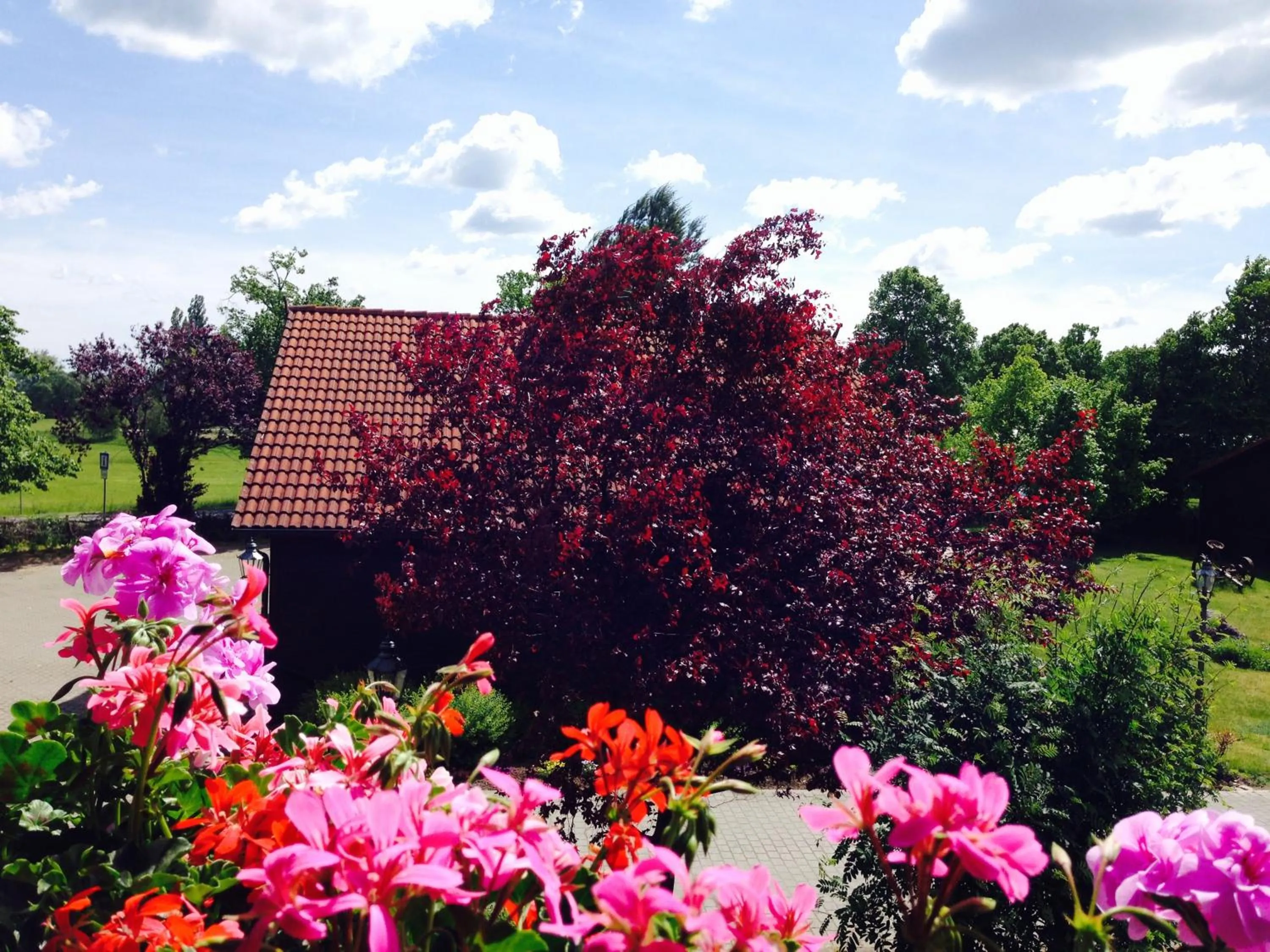Patio in Hotel & Restaurant Zur Spreewälderin