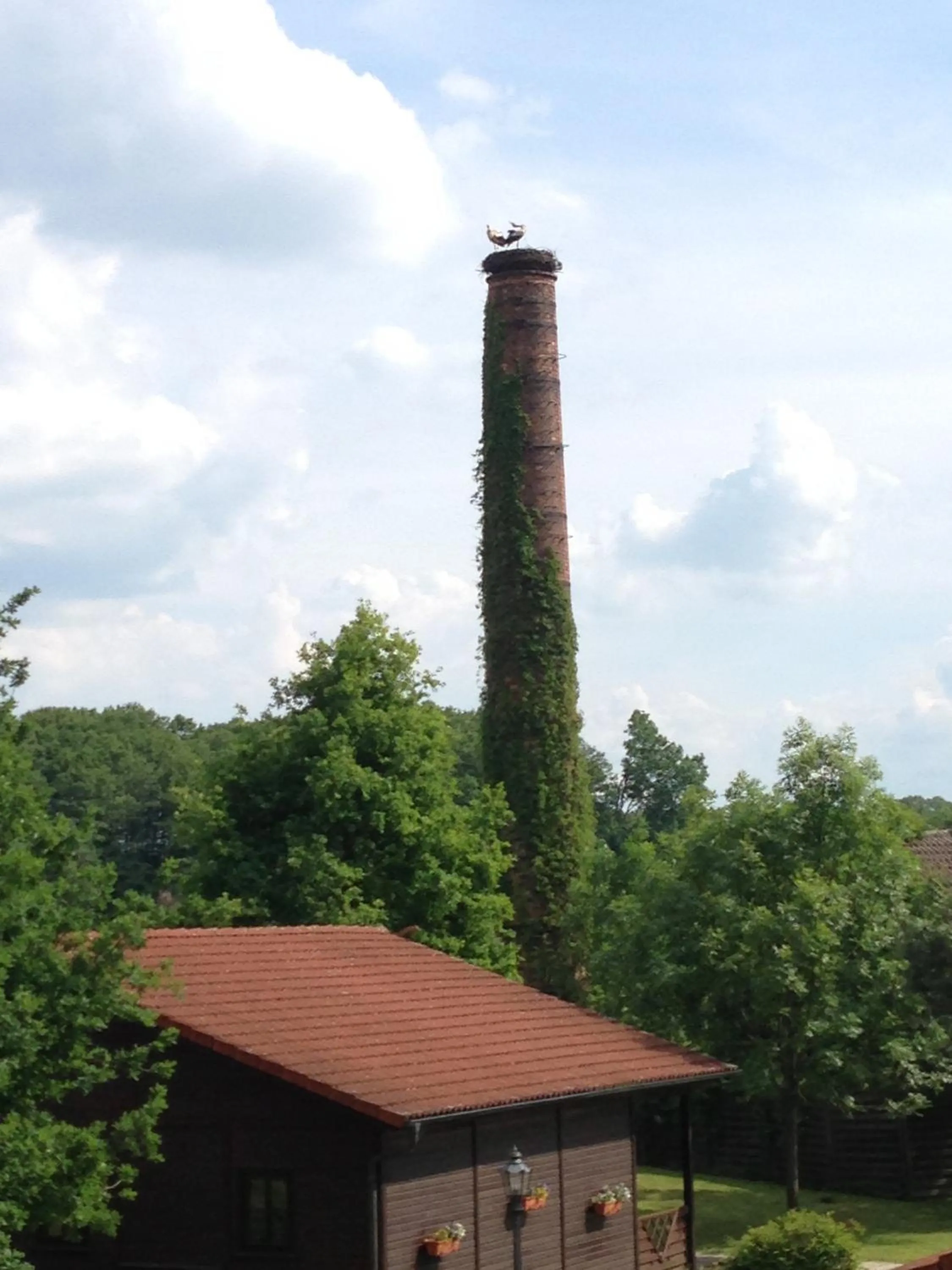 View (from property/room) in Hotel & Restaurant Zur Spreewälderin