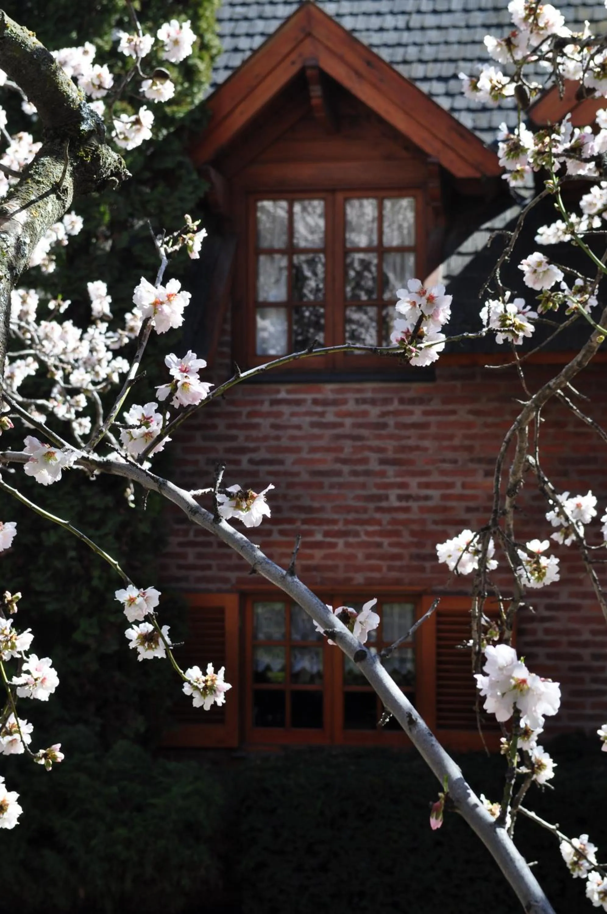 Property building in Apart Hotel La Bora