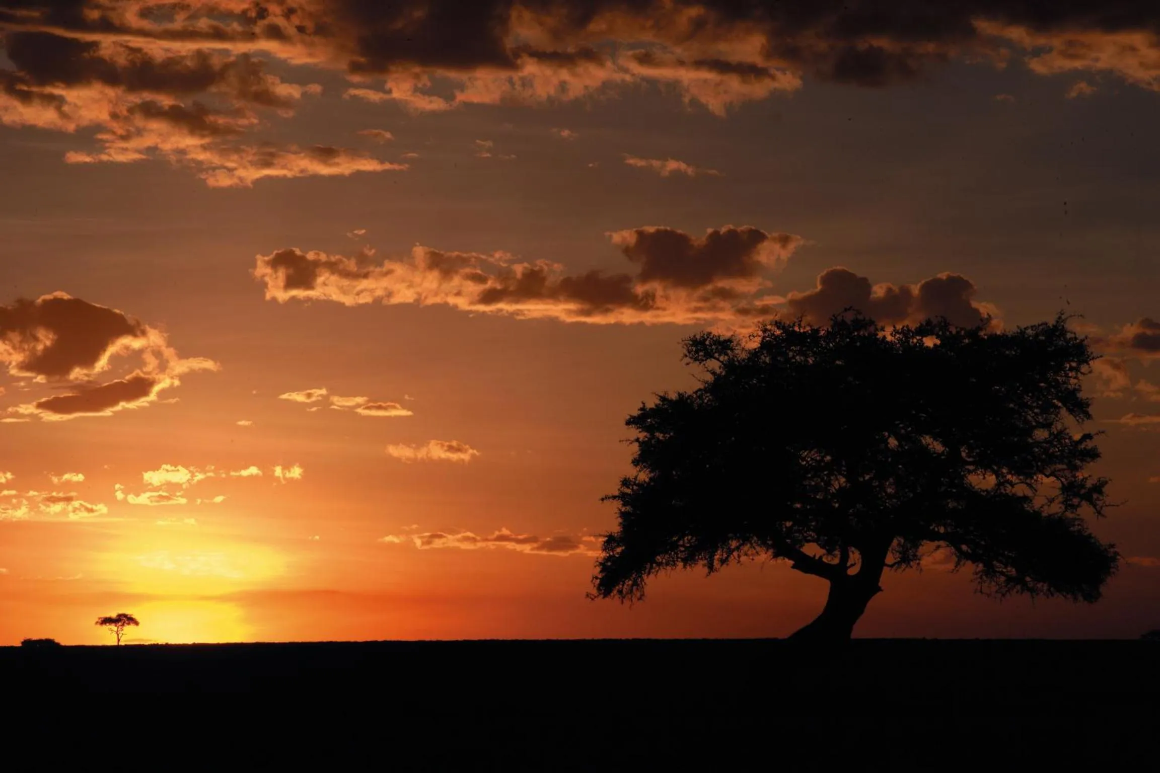 View (from property/room) in Fairmont Mara Safari Club