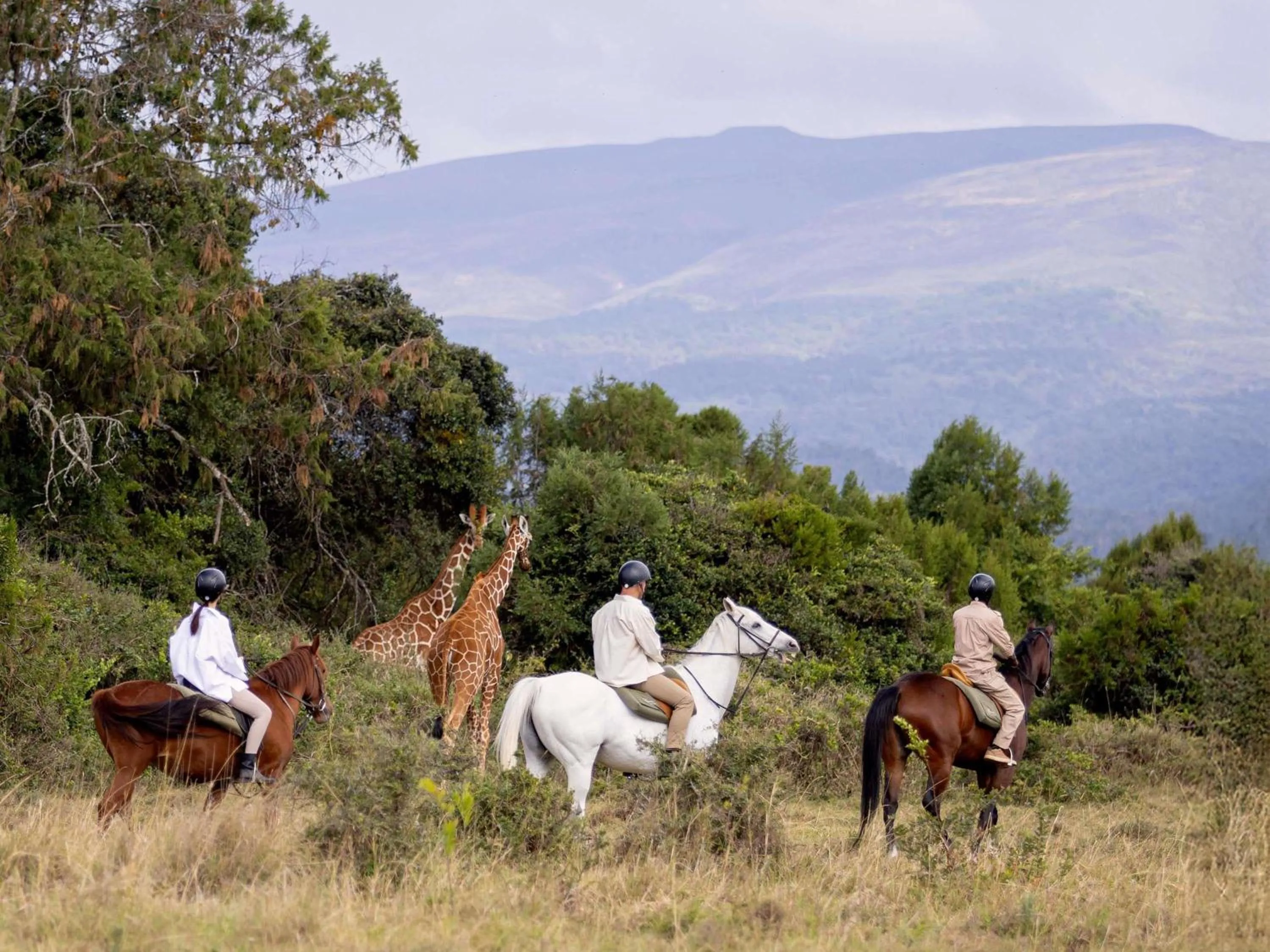 Other in Fairmont Mount Kenya Safari Club