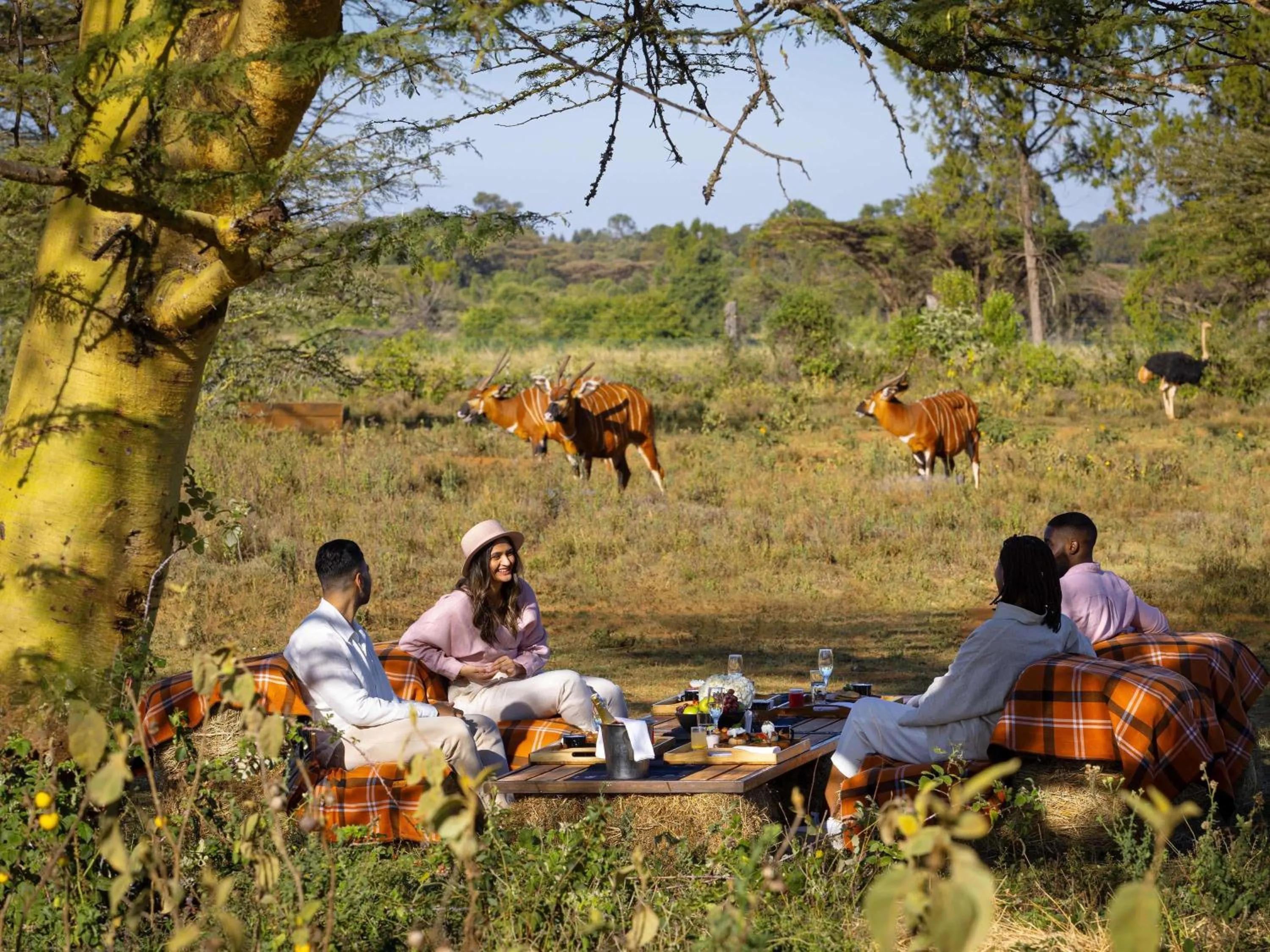 Restaurant/places to eat in Fairmont Mount Kenya Safari Club