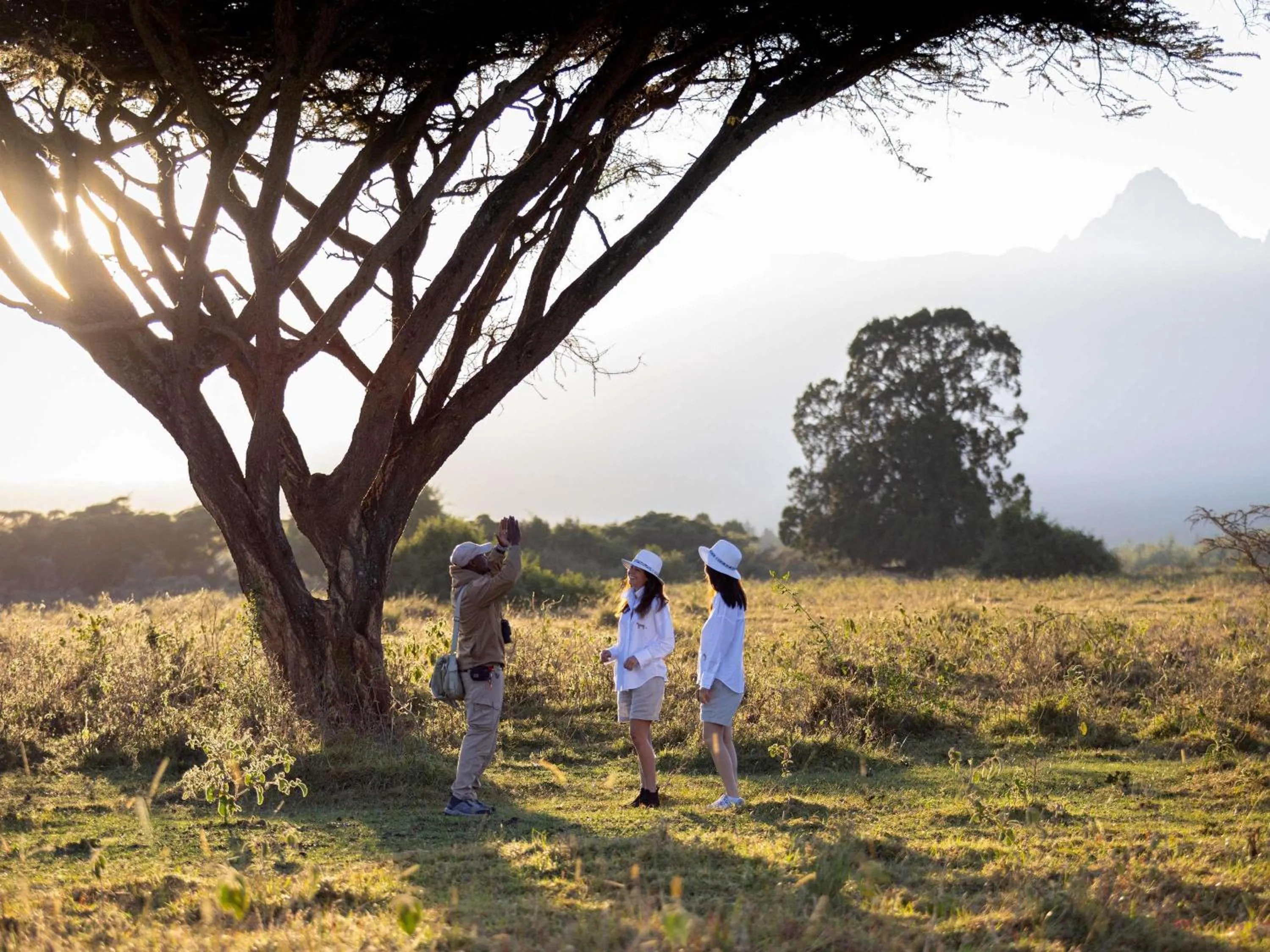 Other in Fairmont Mount Kenya Safari Club