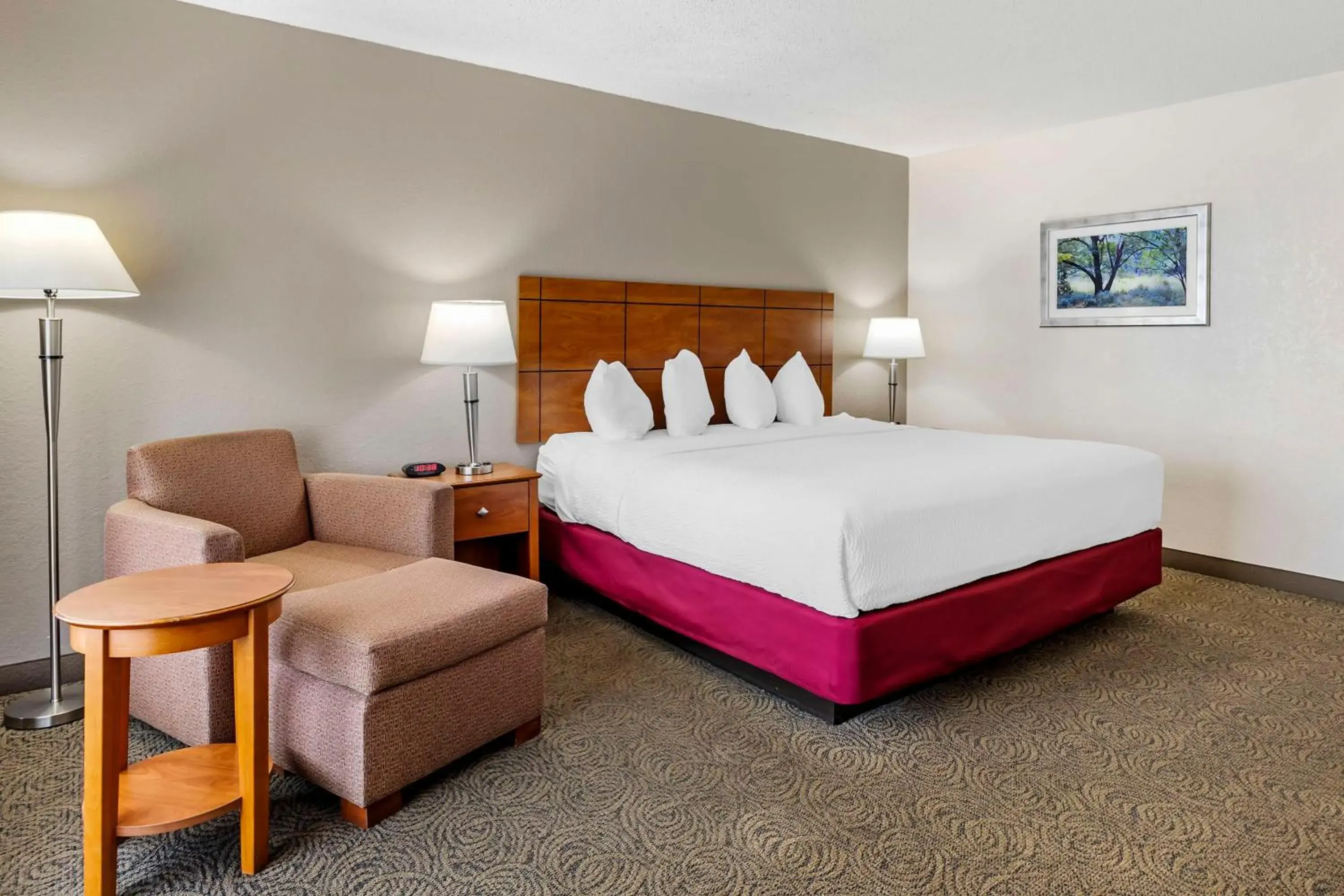 King Room - Smoking in Best Western Thunderbird Motel King Room - Smoking in Best Western Thunderbird Motel