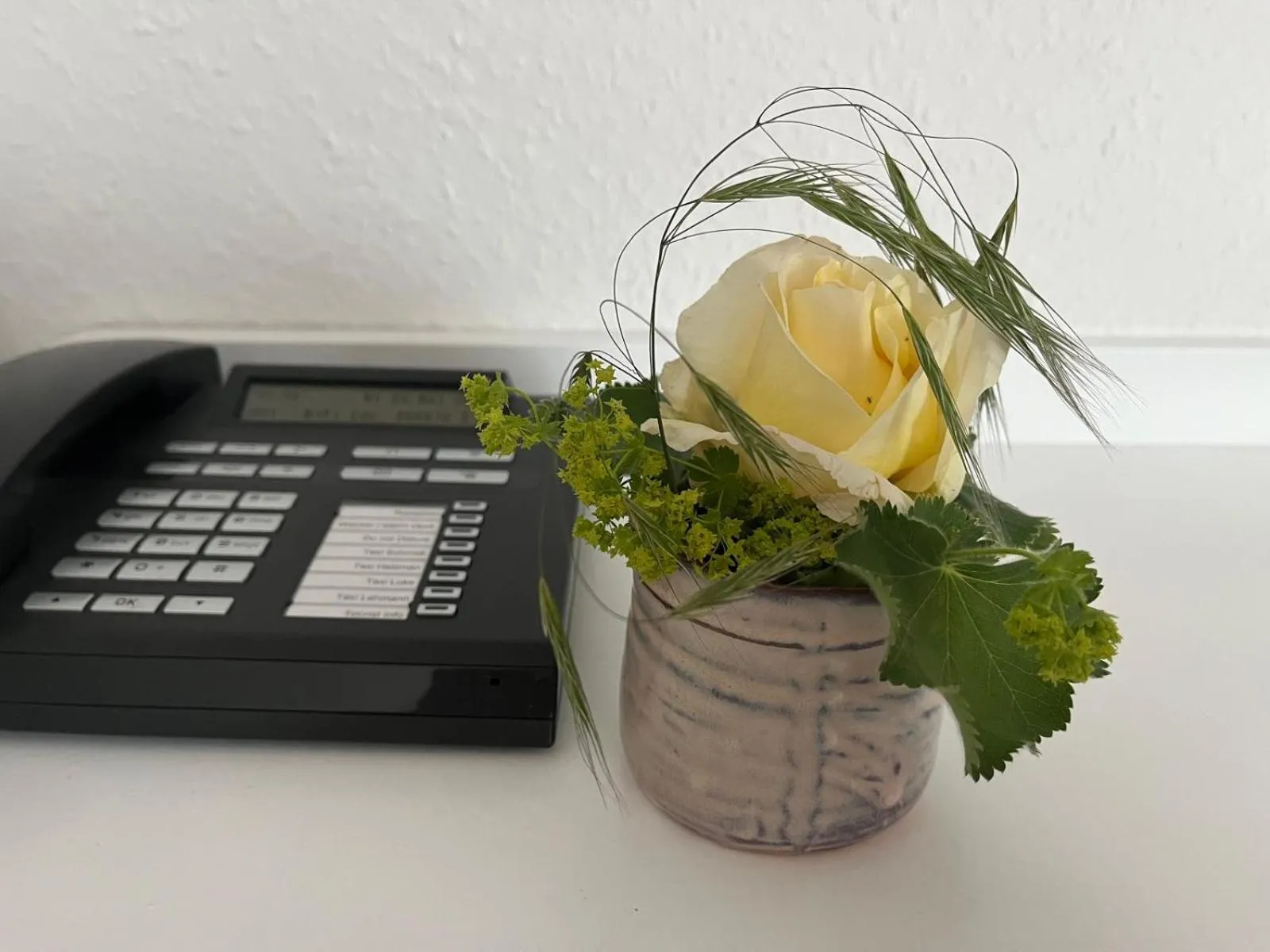 Photo of the whole room in Hotel Sonne