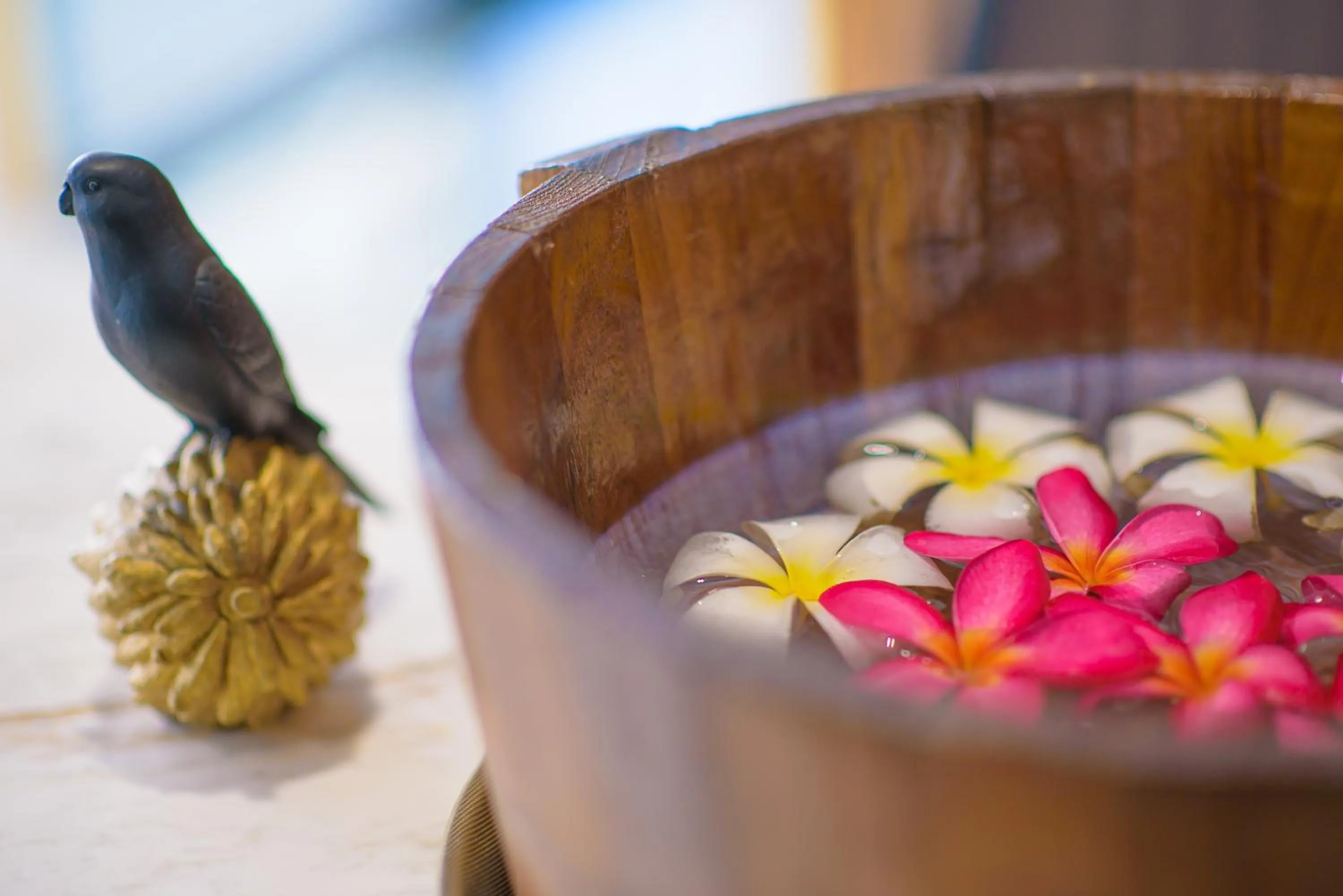 Spa and wellness centre/facilities in O2 Luxury Hotel