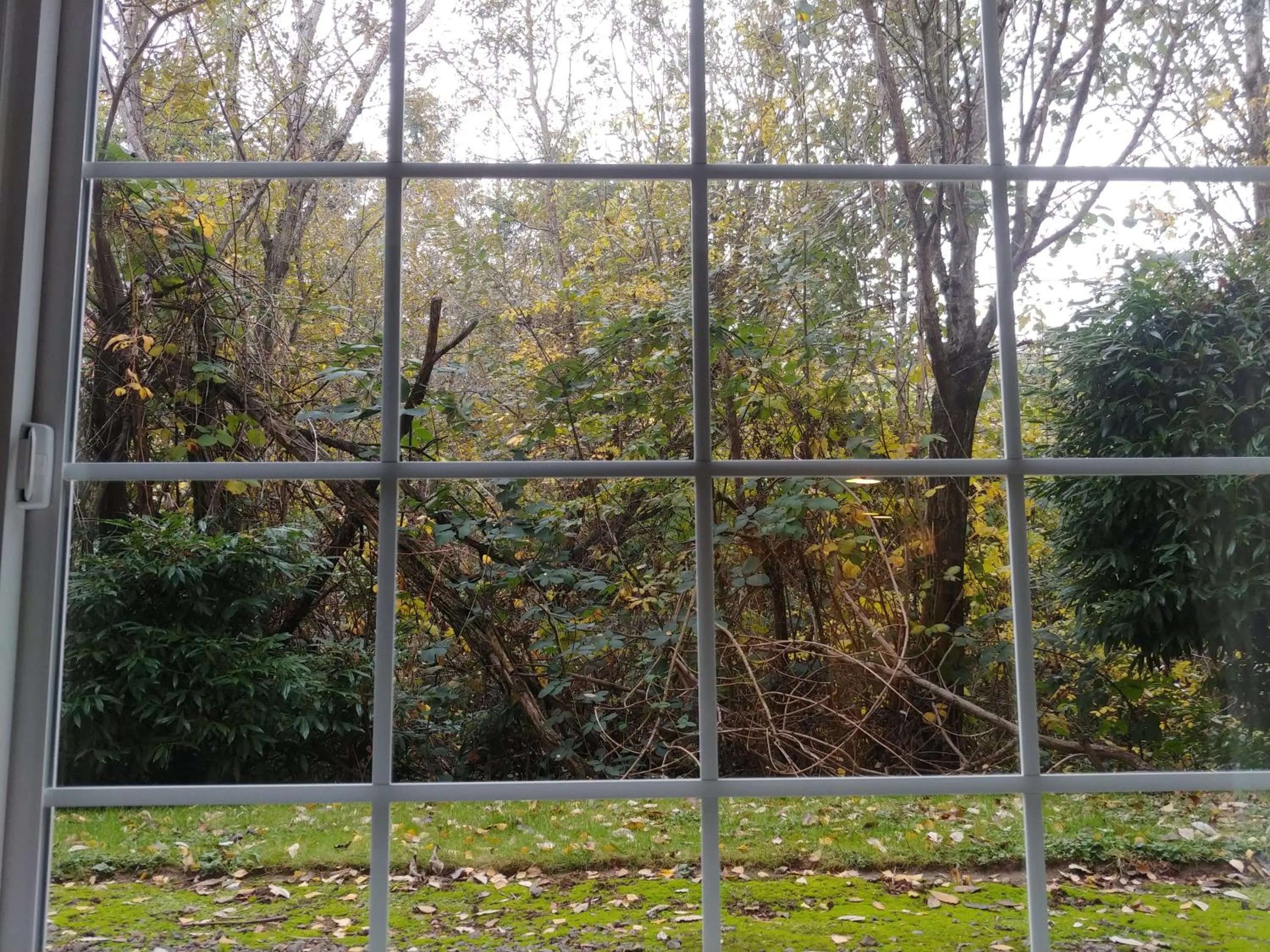 Garden view in Best Western Plus Parkway Inn