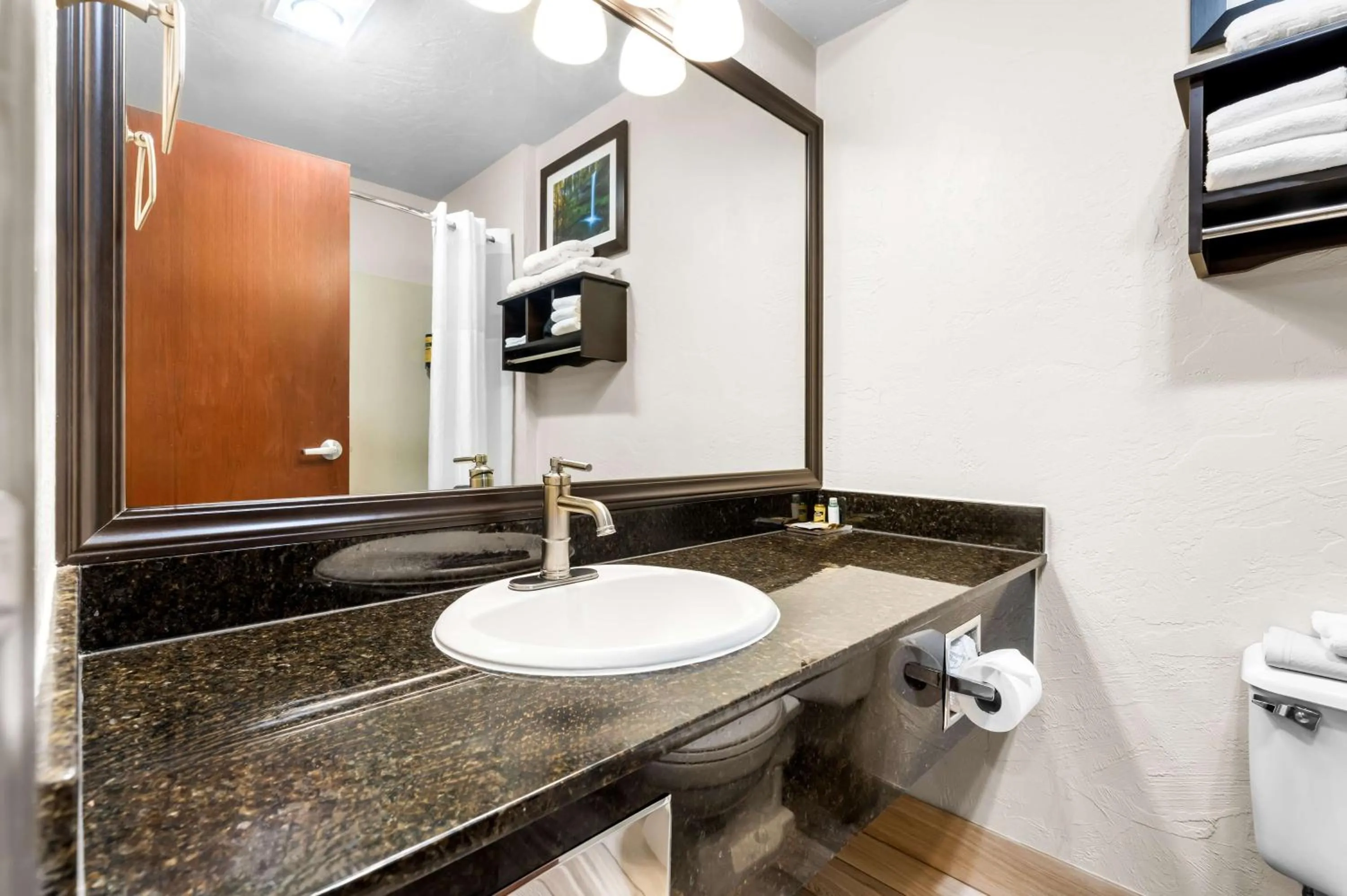 Bathroom in Best Western Plus Parkway Inn