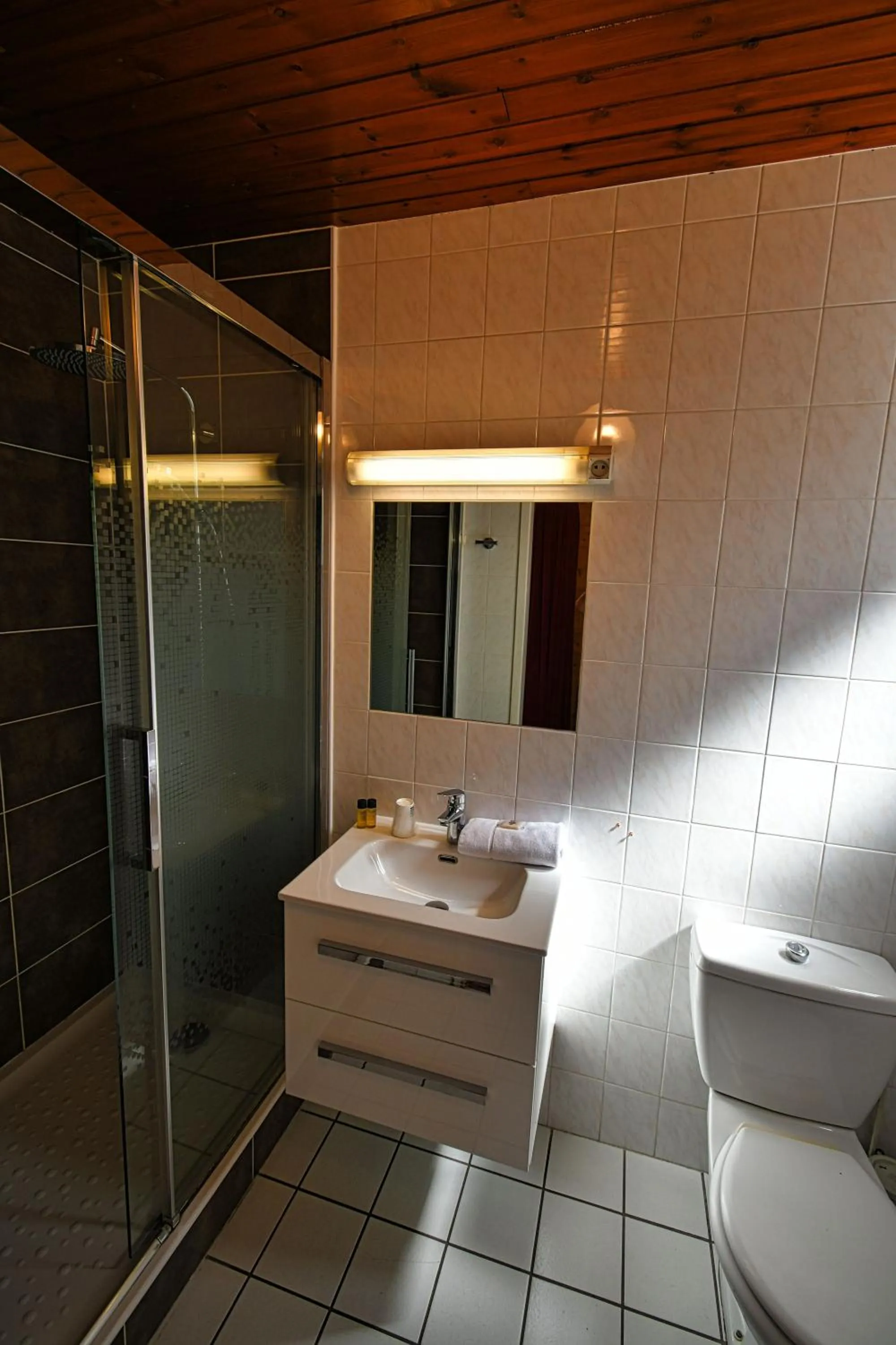 Bathroom in Hôtel Edelweiss