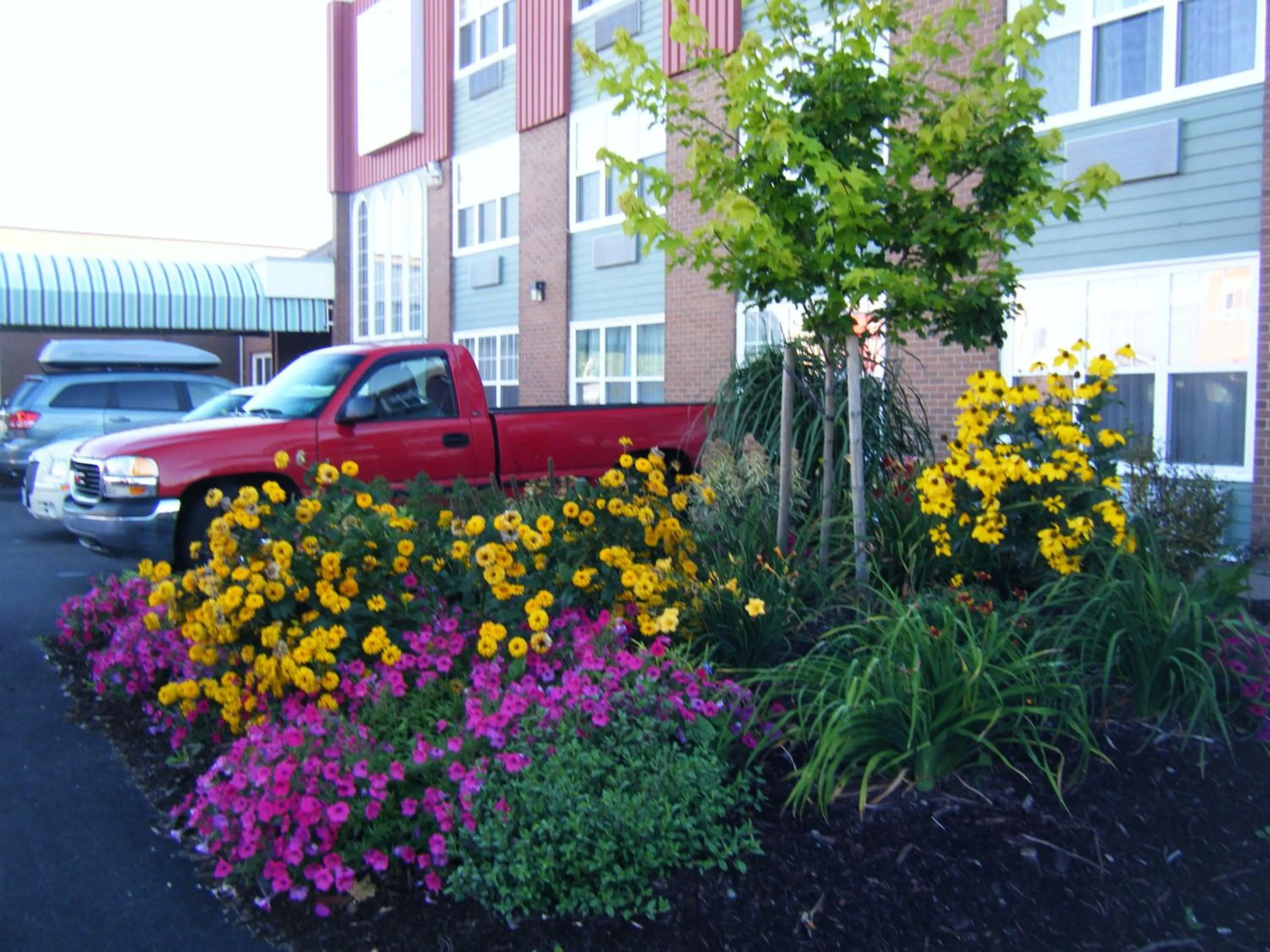 Facade/entrance in Claymore Inn and Suites