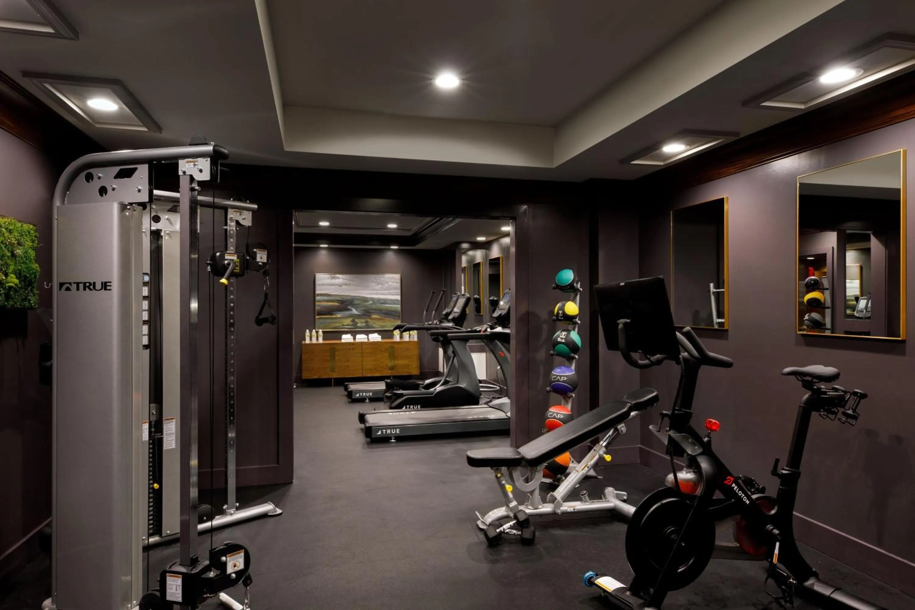 Fitness centre/facilities in Ambassador Hotel Kansas City, Autograph Collection