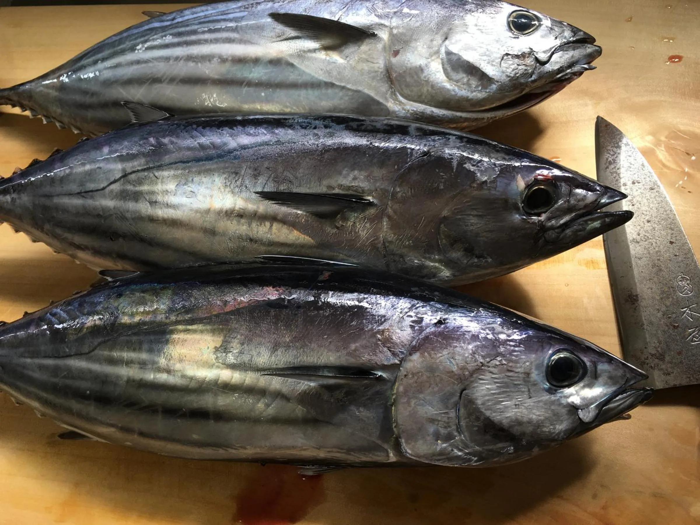 Meals in Kokumin Shukusha Sun Marina