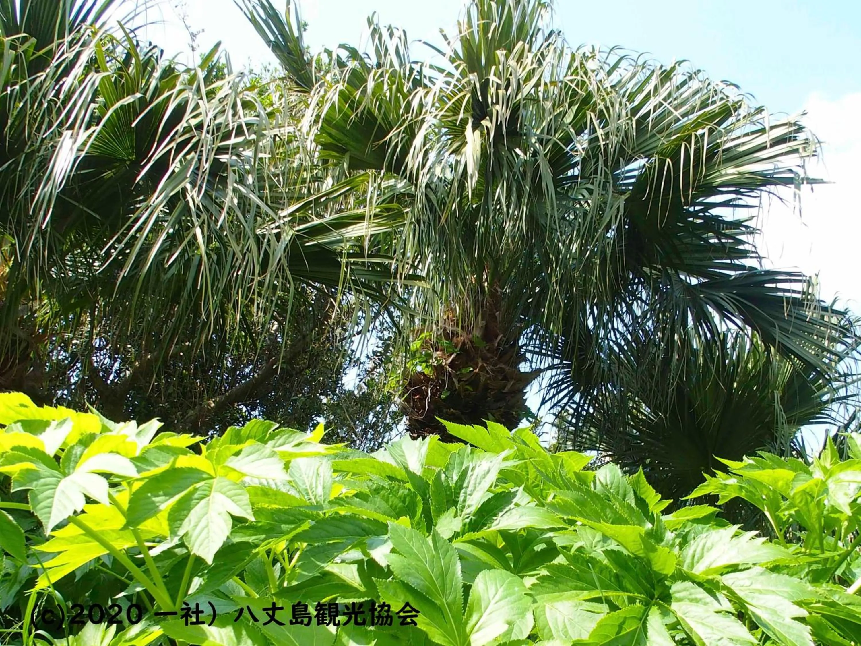Nearby landmark in Kokumin Shukusha Sun Marina