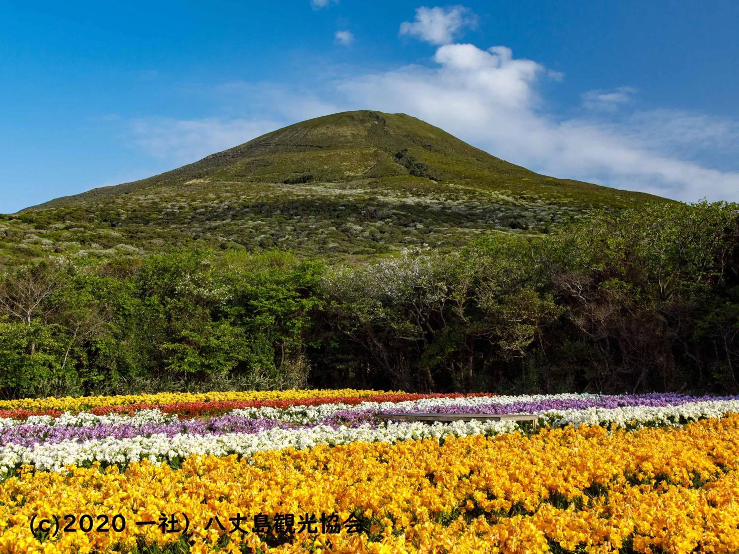 Nearby landmark in Kokumin Shukusha Sun Marina