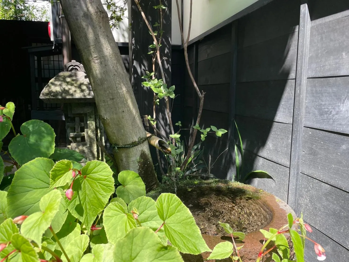 Area and facilities in Sanso Matsuya