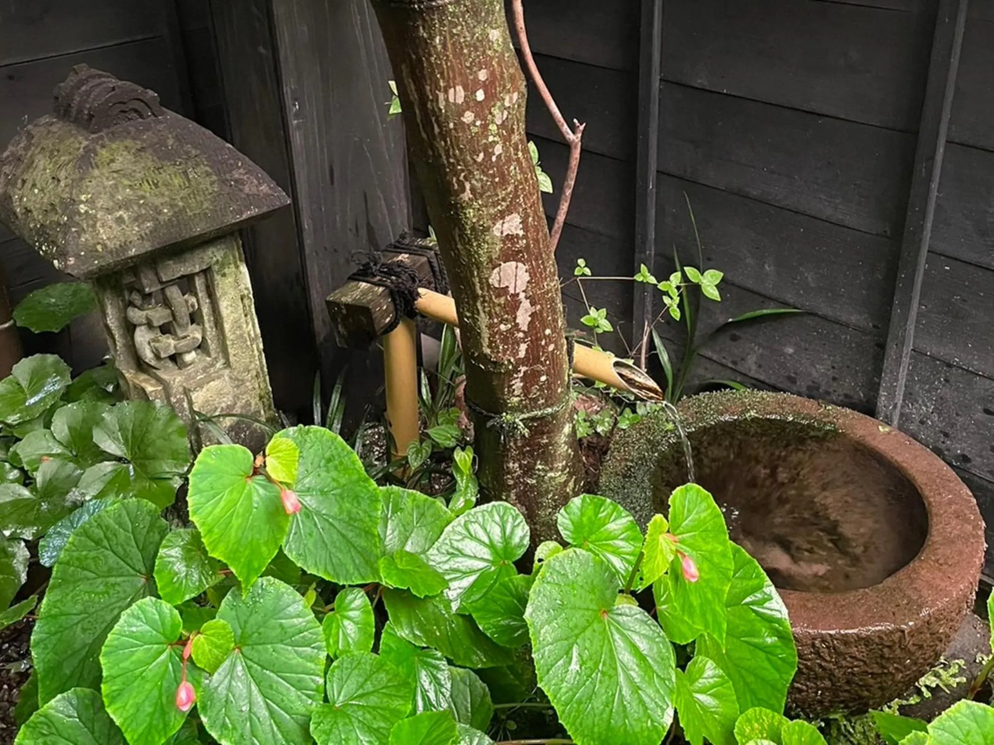 Area and facilities in Sanso Matsuya