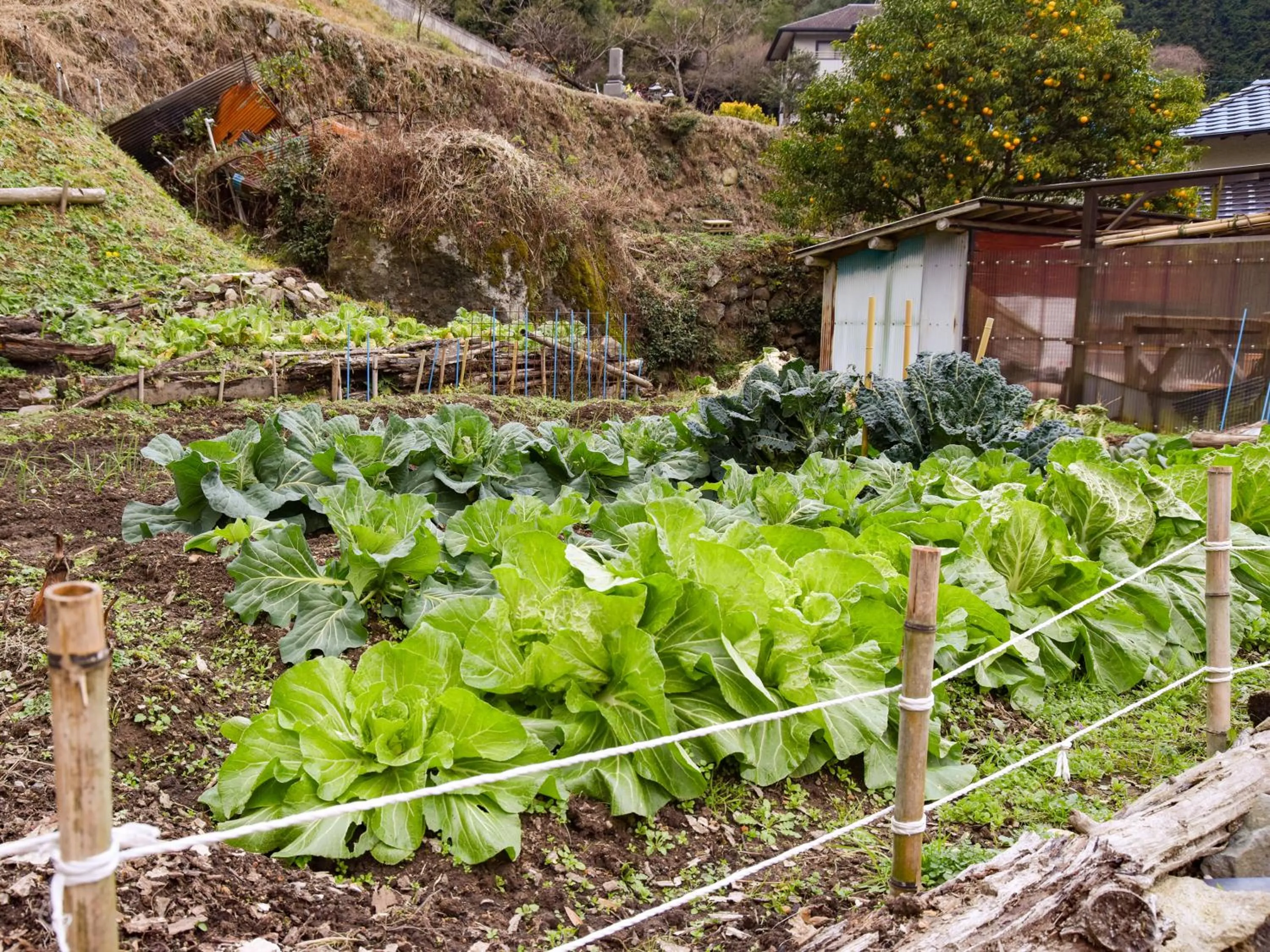 Area and facilities in Sanso Matsuya