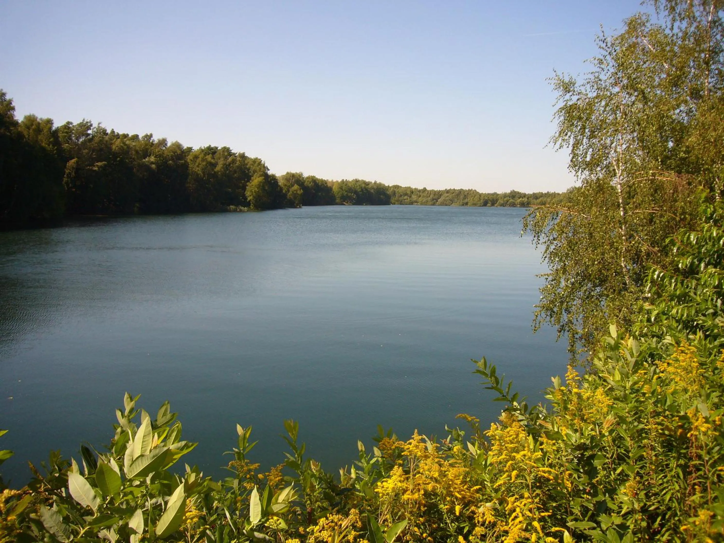 Area and facilities in Hotel Stadt Munster