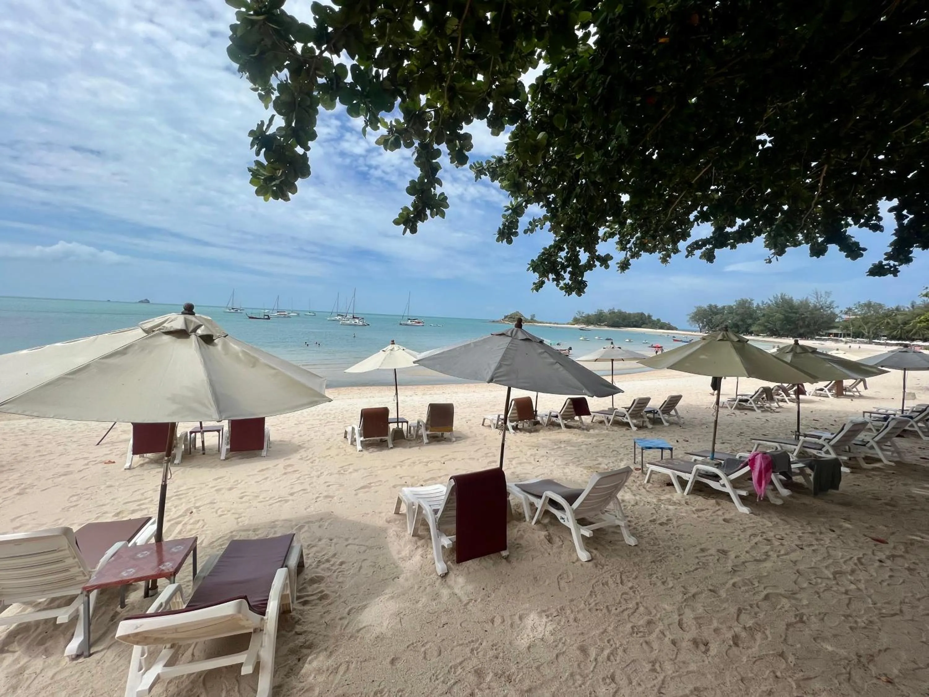 Natural landscape in PS Thana Resort