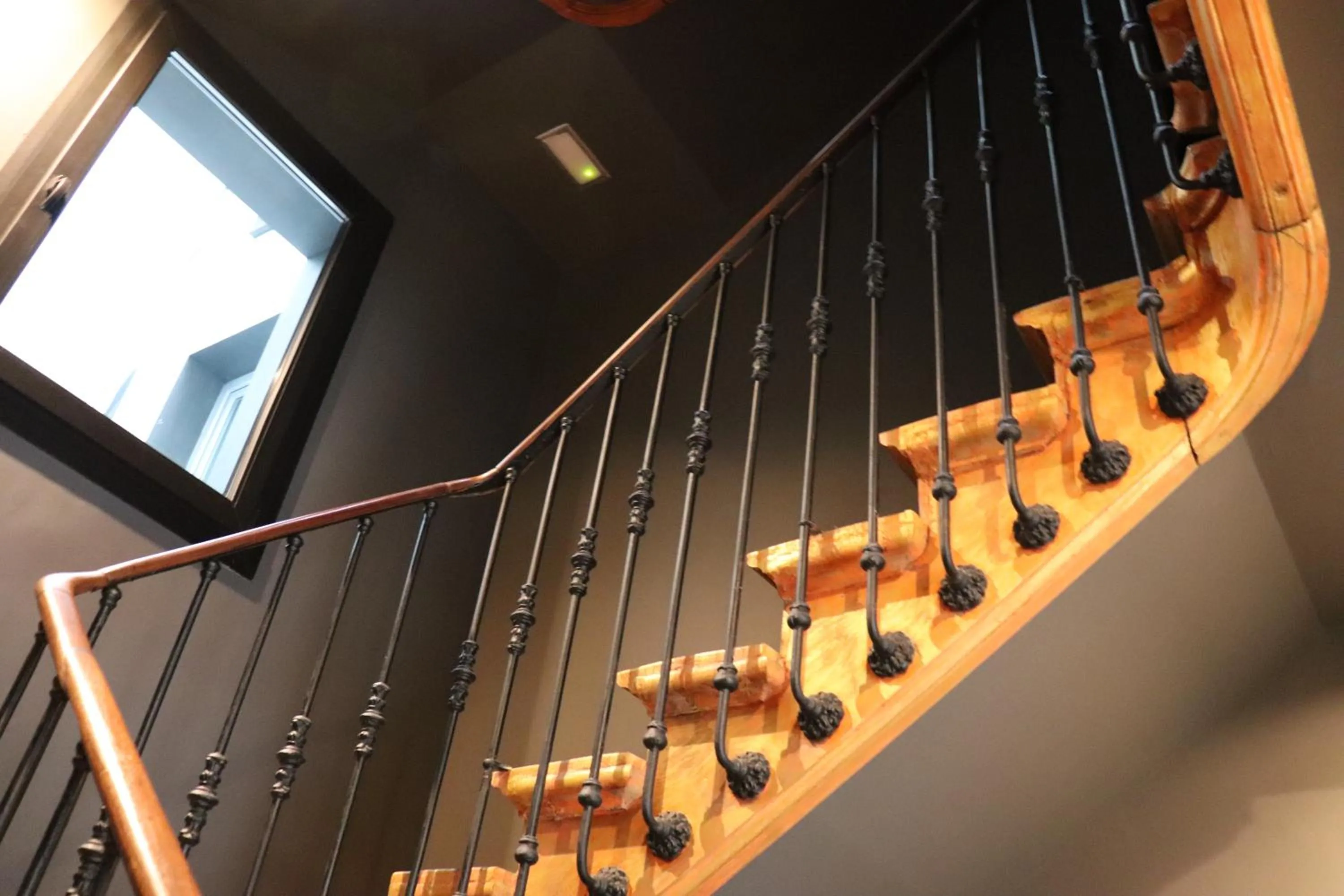 Area and facilities in Hotelfreedom