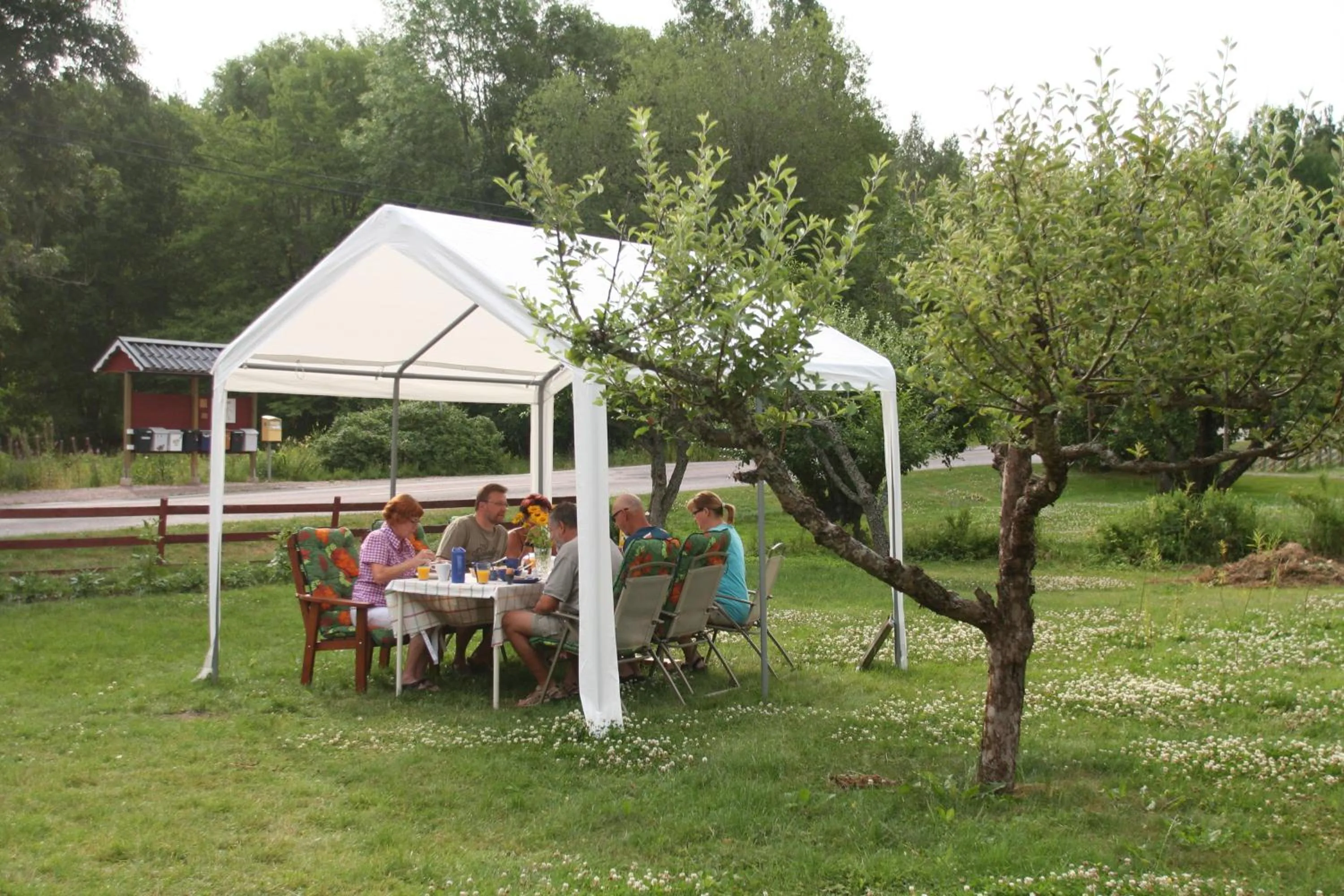 Garden in Bed & Breakfast Björkhyddan