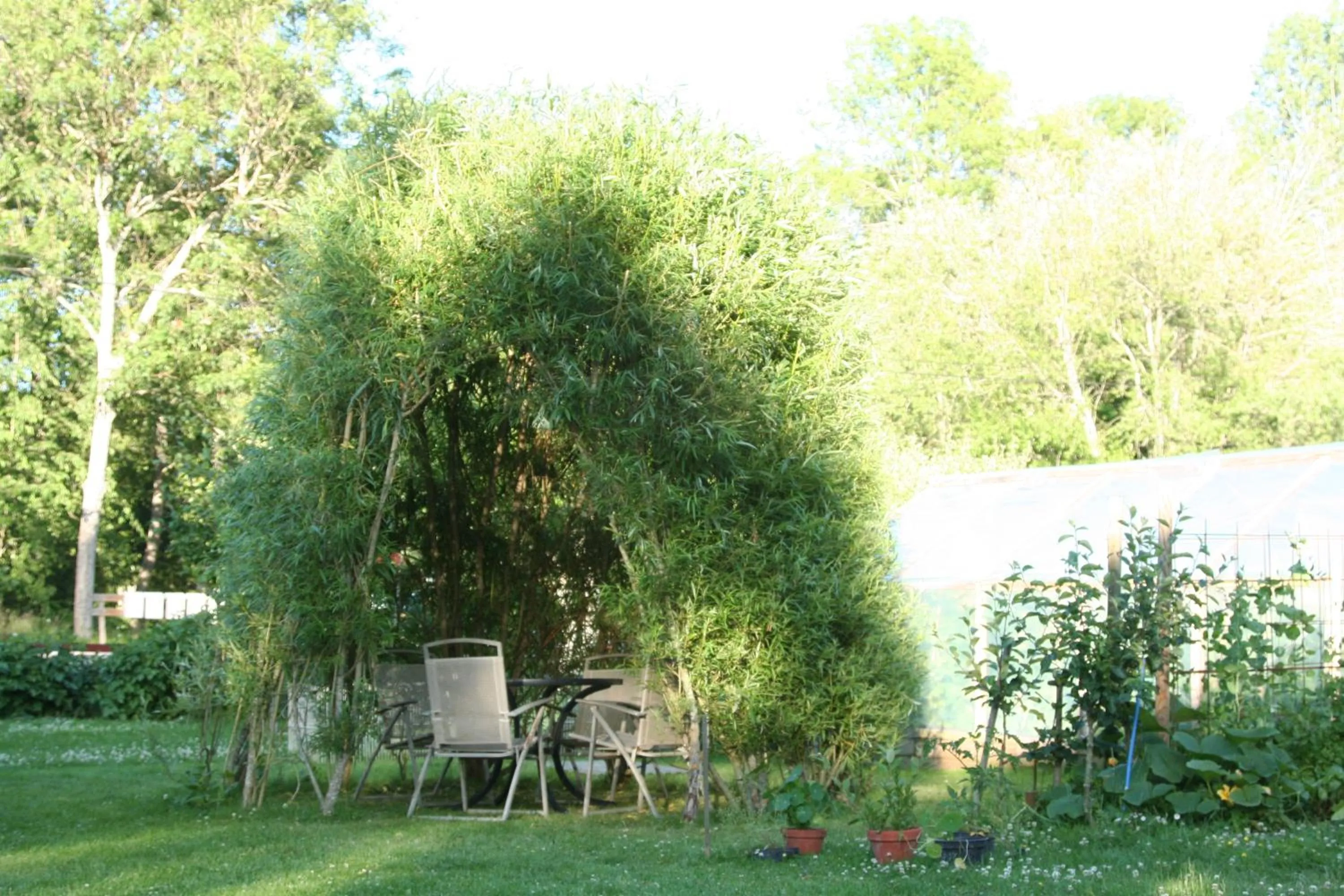 Garden in Bed & Breakfast Björkhyddan